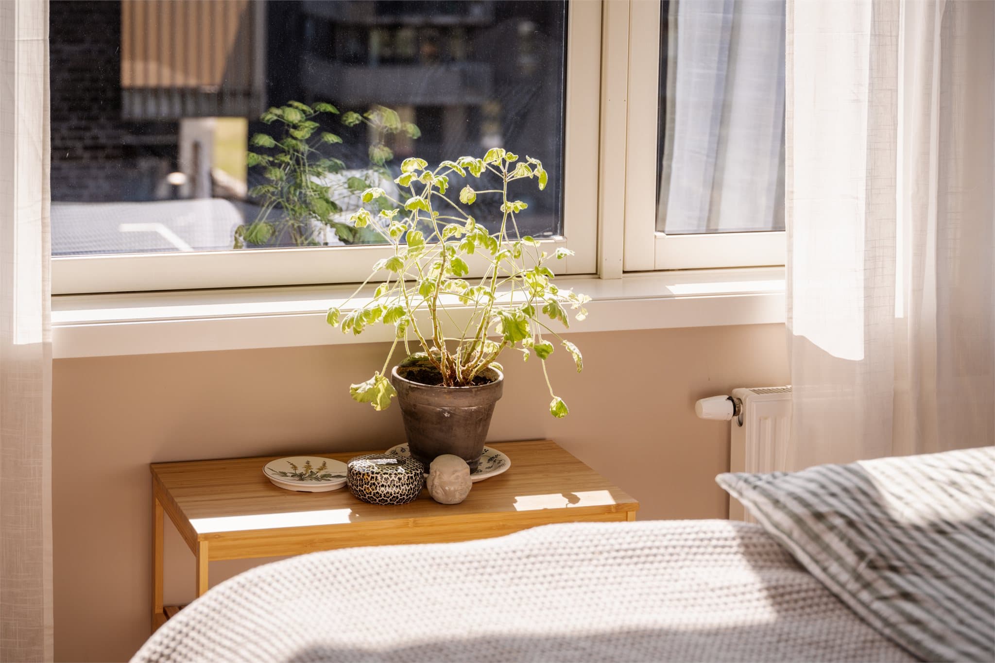 Legg merke til det flotte lyset!