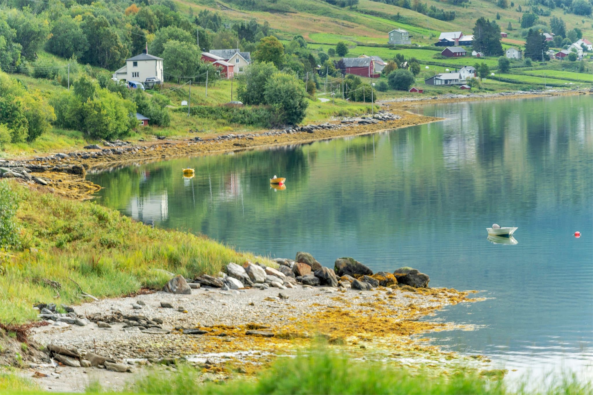 Fjæra og strandlinjen like nedenfor eiendommen.