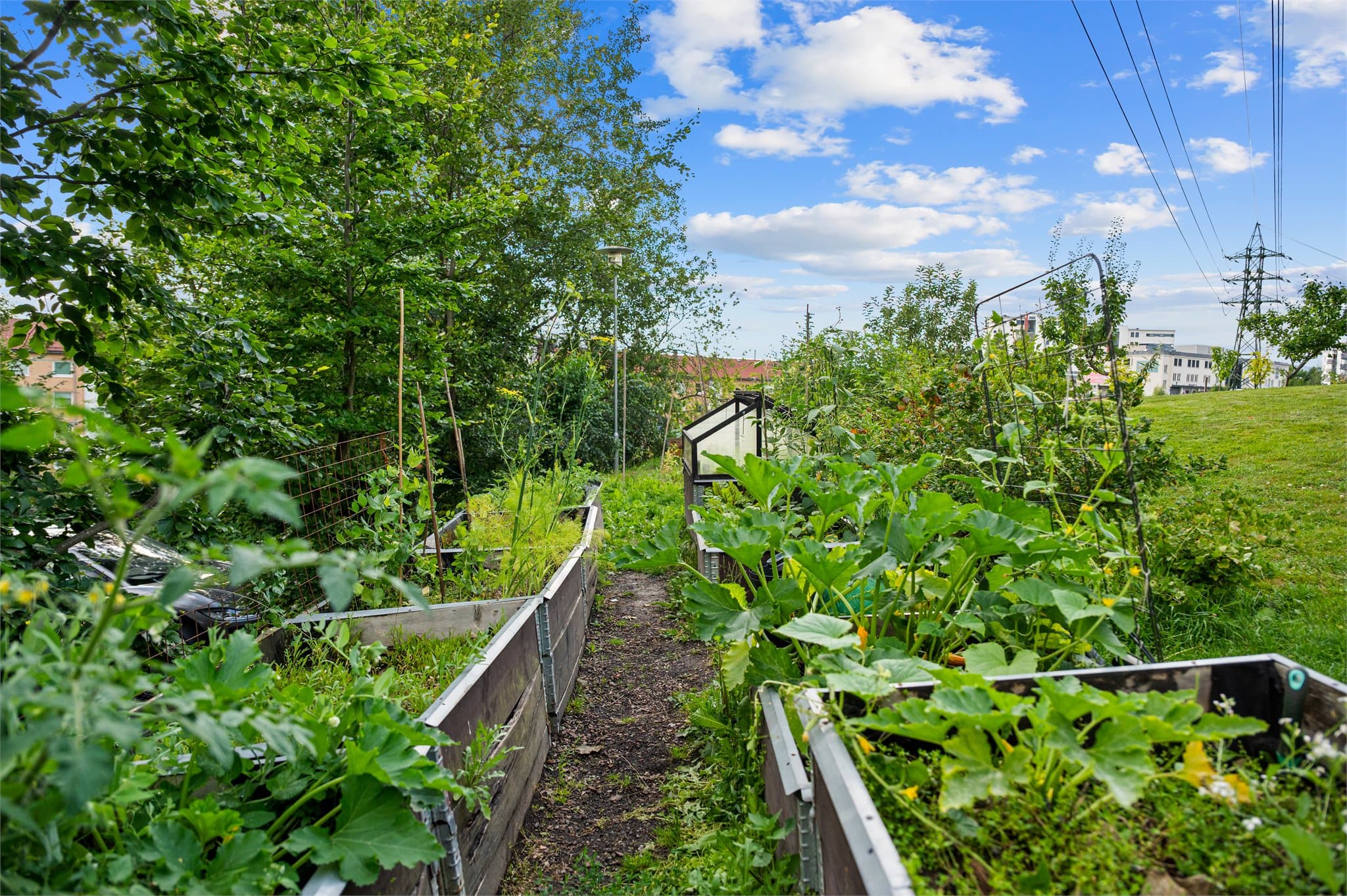 Borettslaget har et hyggelig hagelag som gir muligheter for dyrking.