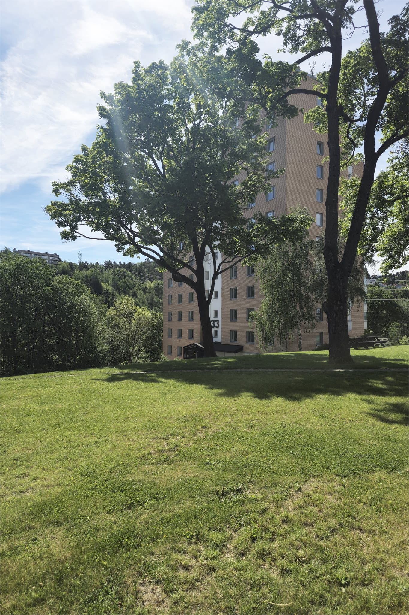 Felles utearealer er frodige og grønne.