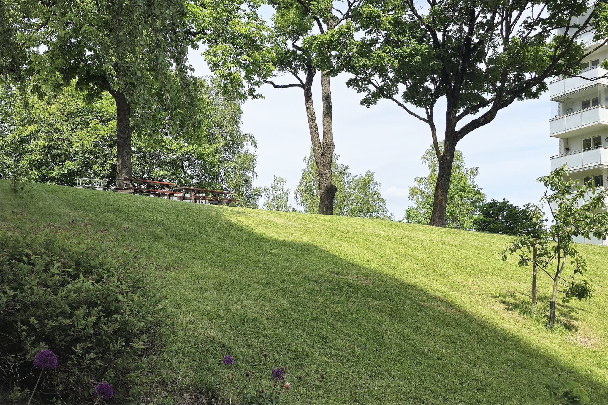 Terrenget åpner rom for lek og hygge for barna i nabolaget.