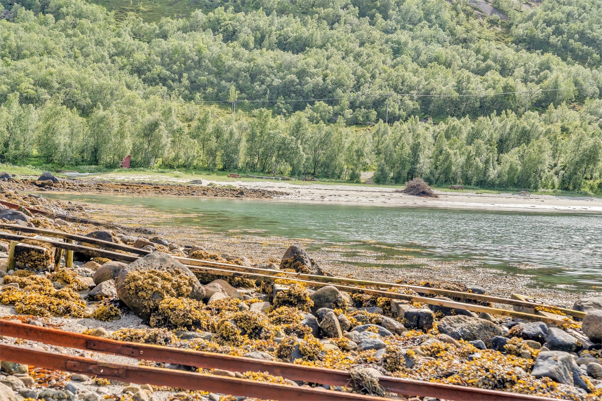Strand ved eiendommen byr på flotte opplevelser med vannaktivitet.