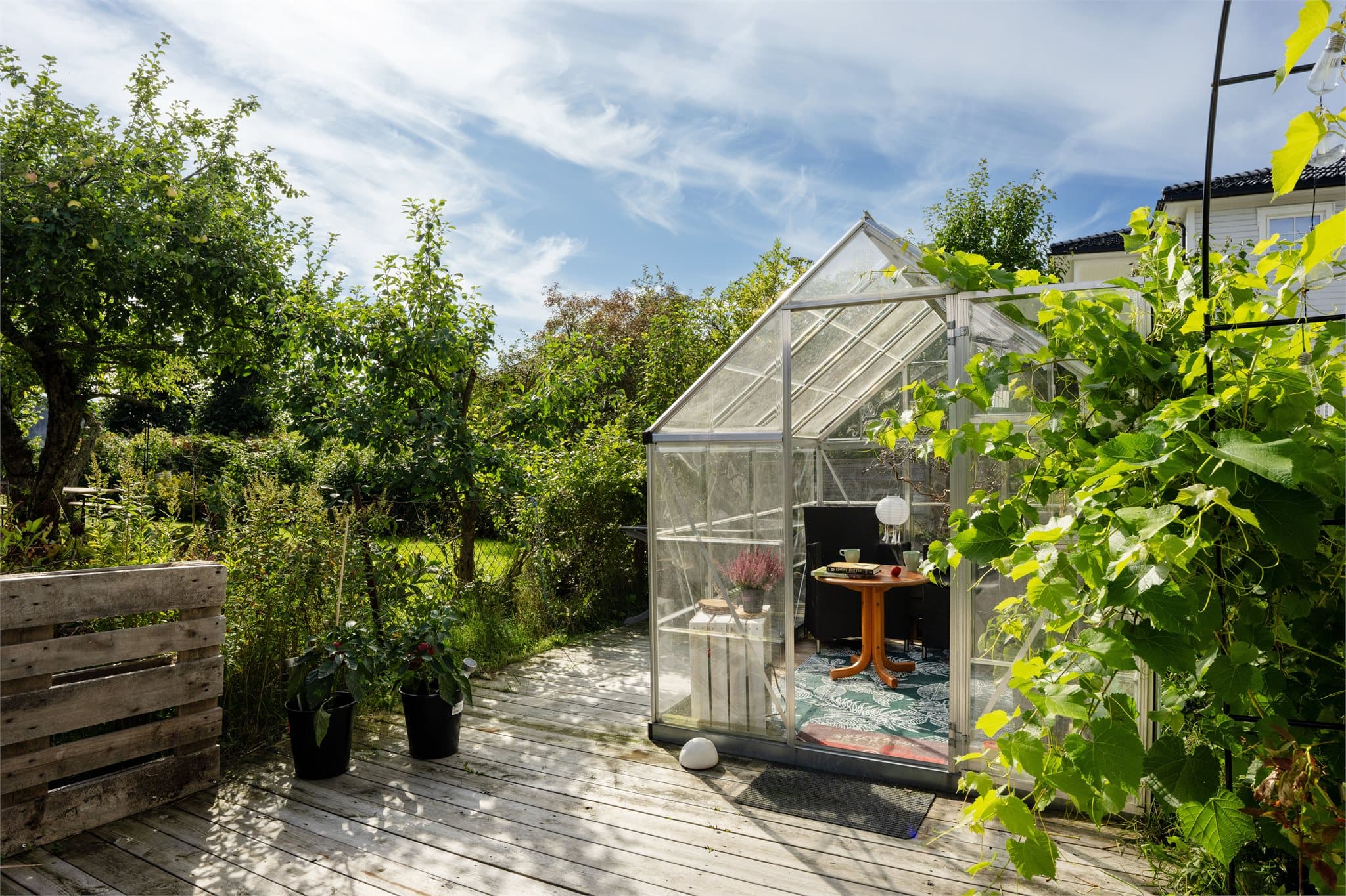 Drivhuset er plassert på treplatting med adkomst direkte fra plenen.