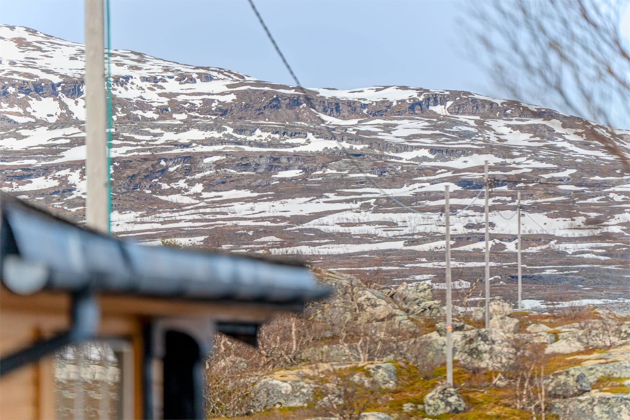 Omkranset med flotte omgivelser, utsikt mot fjell og natur