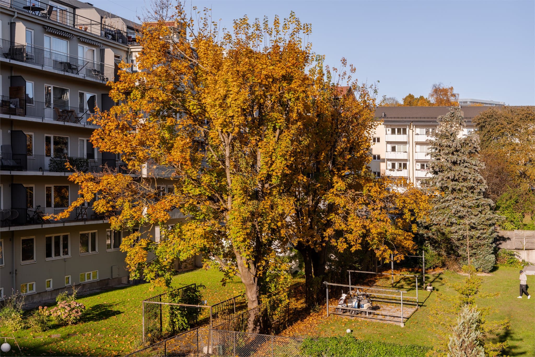 Grønne fellesarealer i et veletablert boområde med kort vei til Akerselva og Torshovparken.