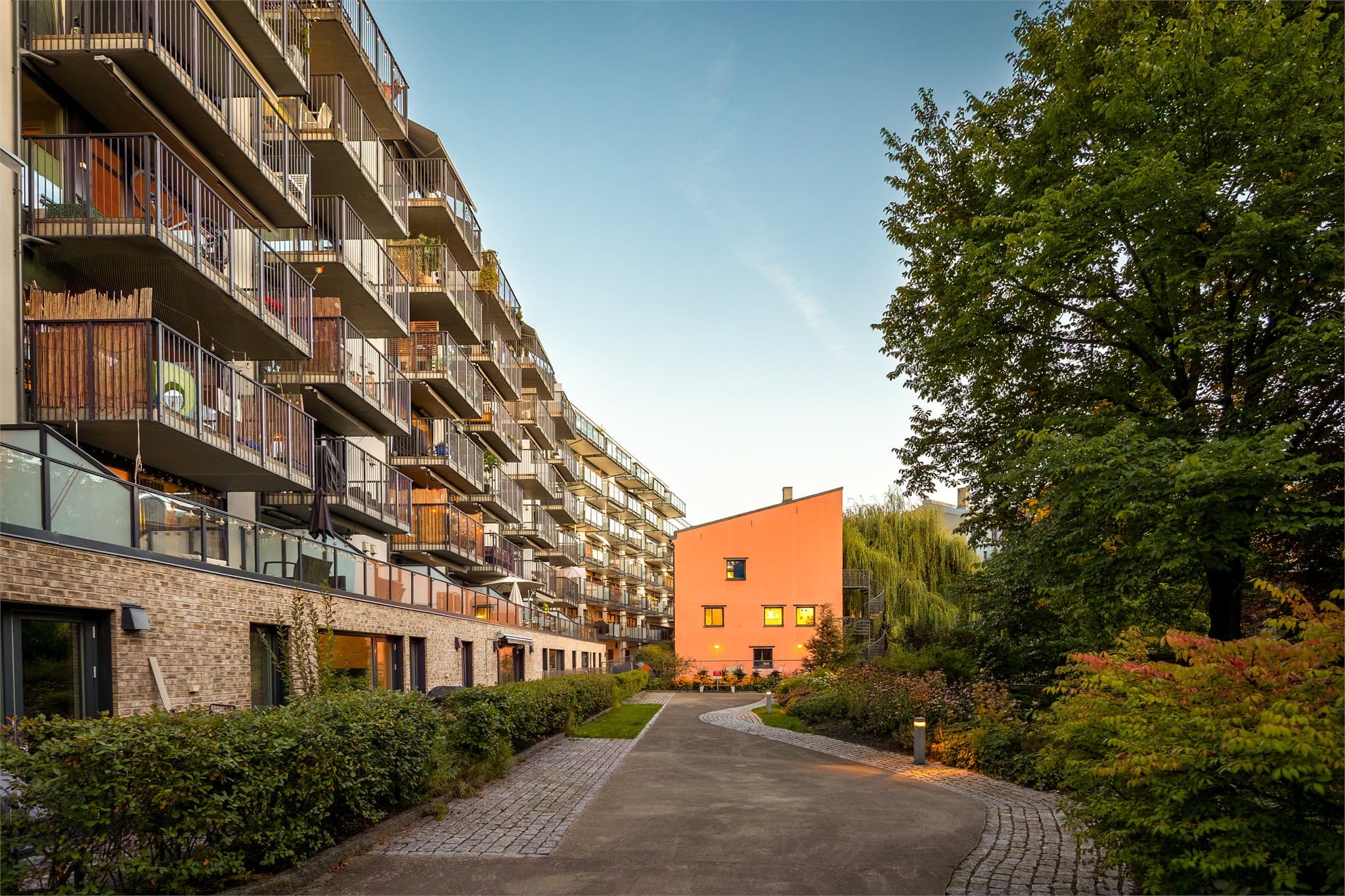 Felles gangvei og beplantning langs bygningskroppen mot det lukkede gårdsrommet.