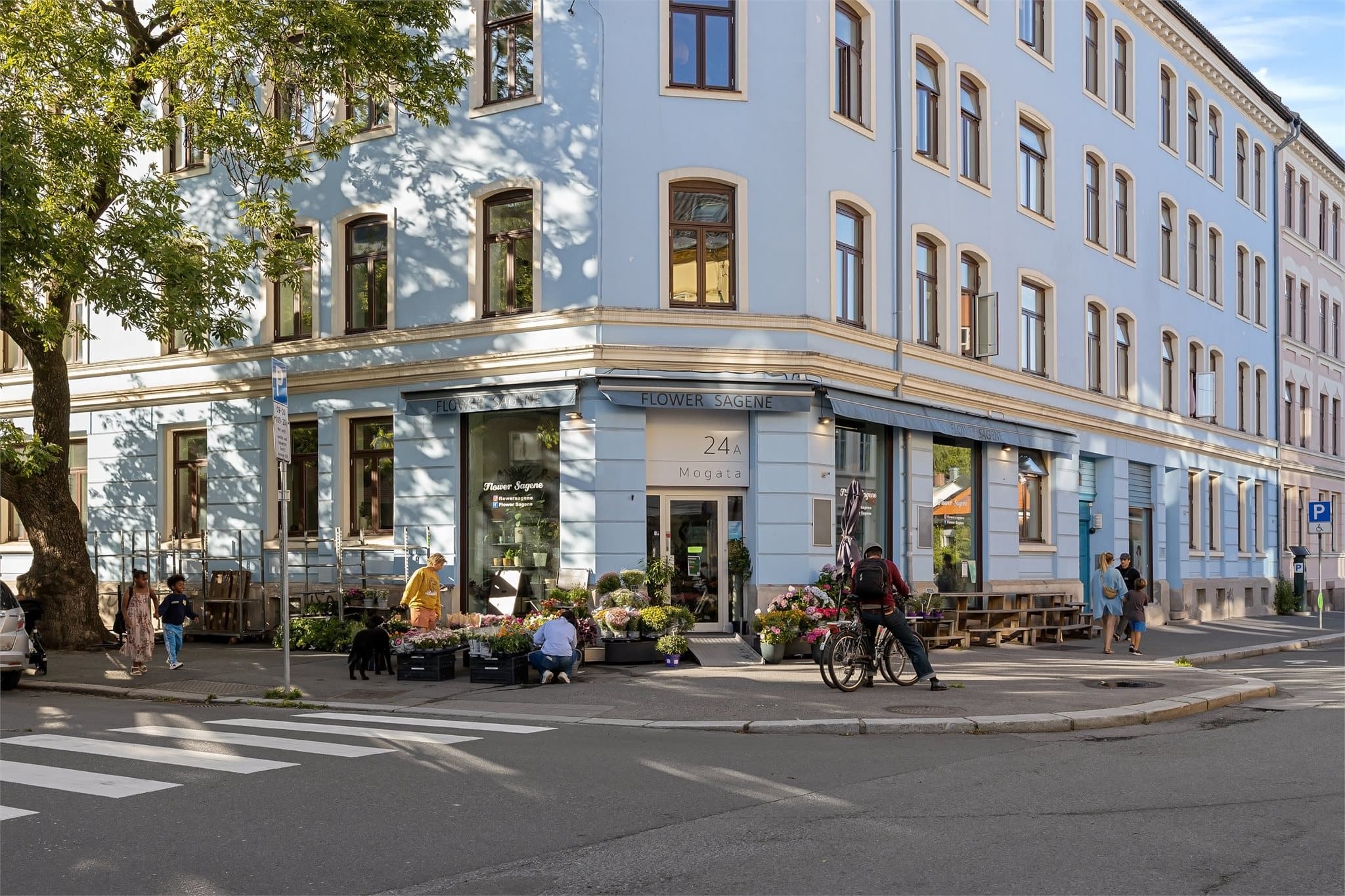 Sagene byr på et rikt utvalg av kafeer, restauranter og servicetilbud i nærområdet.