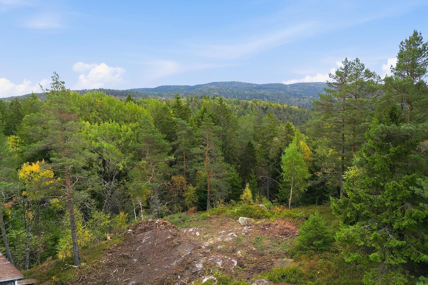 Høyt og fritt med flott utsyn over de omkringliggende skogsområdene.