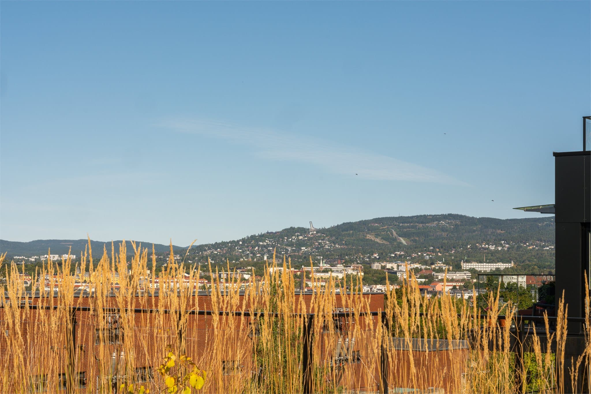 Utsikten strekker seg også mot de grønne åsene som omkranser byen.