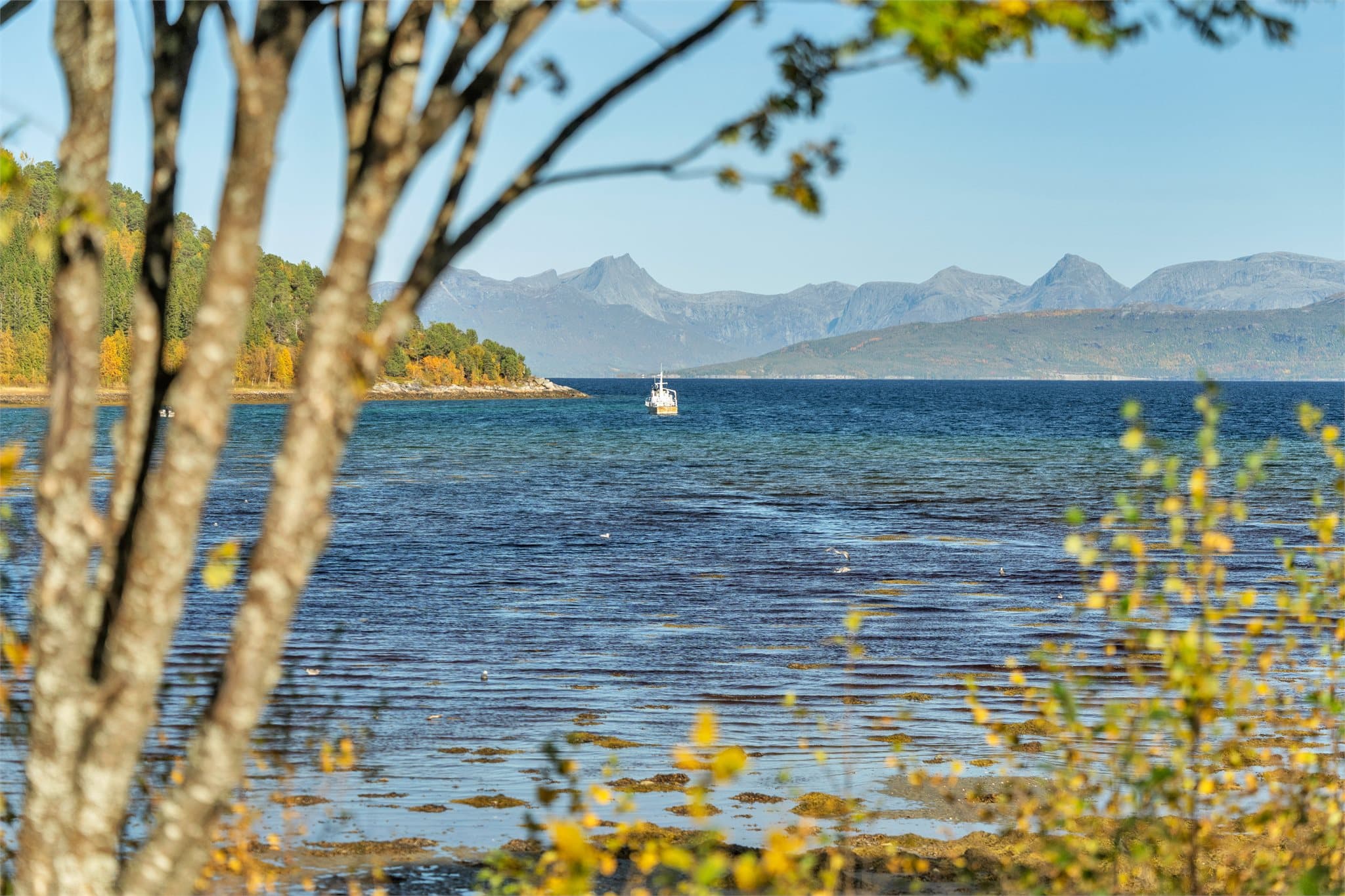 Kystnære omgivelser med gode muligheter for båtliv og fiske i Tysfjorden.