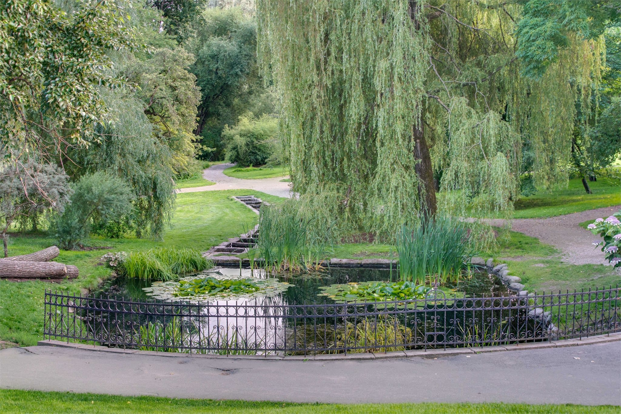 Den vakre Botanisk hage ligger i umiddelbar nærhet og byr på grønne omgivelser og flotte turmuligheter rett utenfor døren.