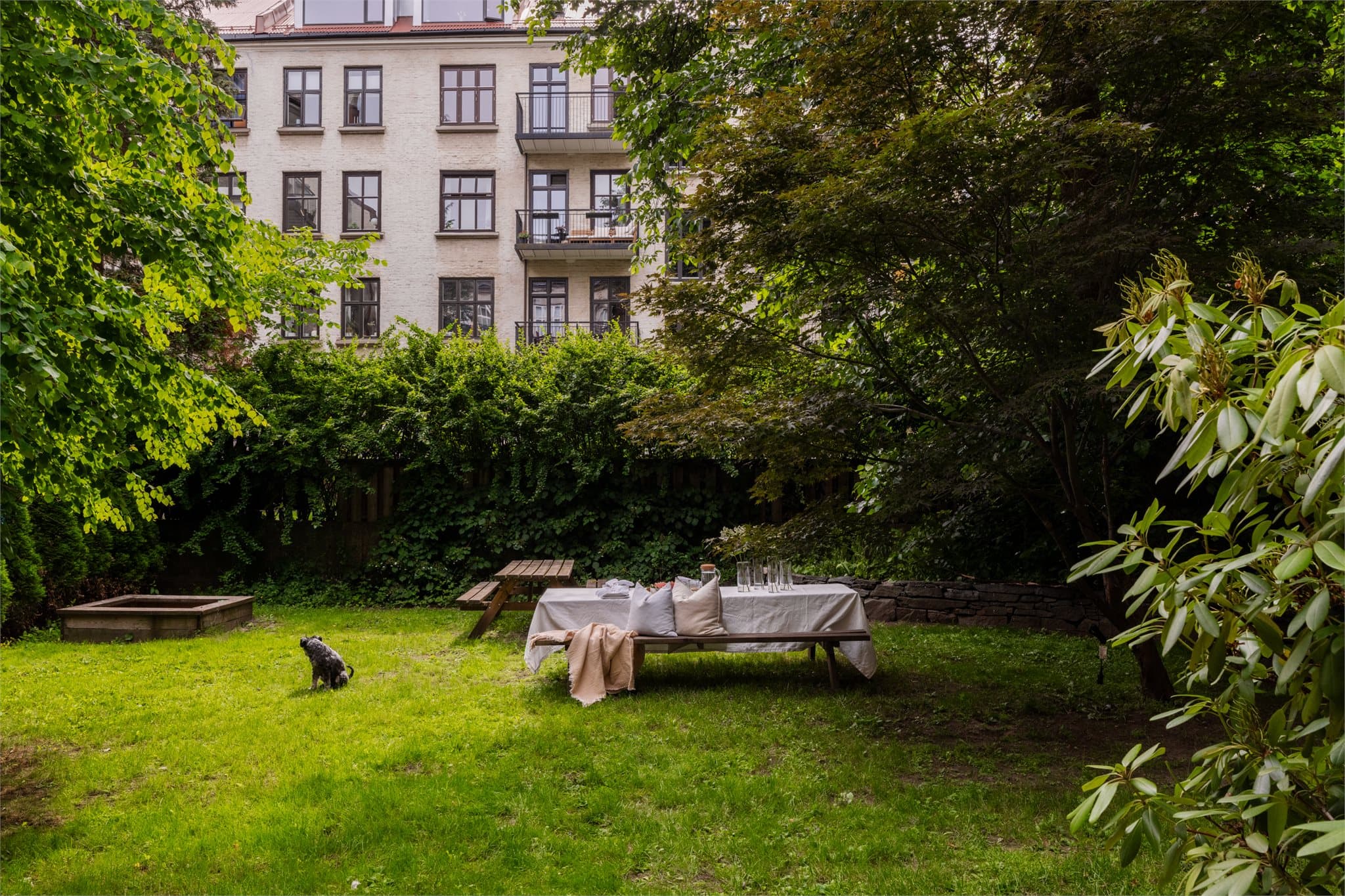 Sameiets felles bakgård er pent opparbeidet med plen og beplantning.