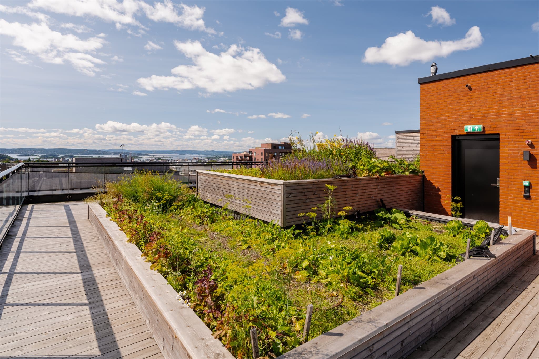 Felles takterrasse med fantastisk utsikt ut over Oslo og ned til fjorden.