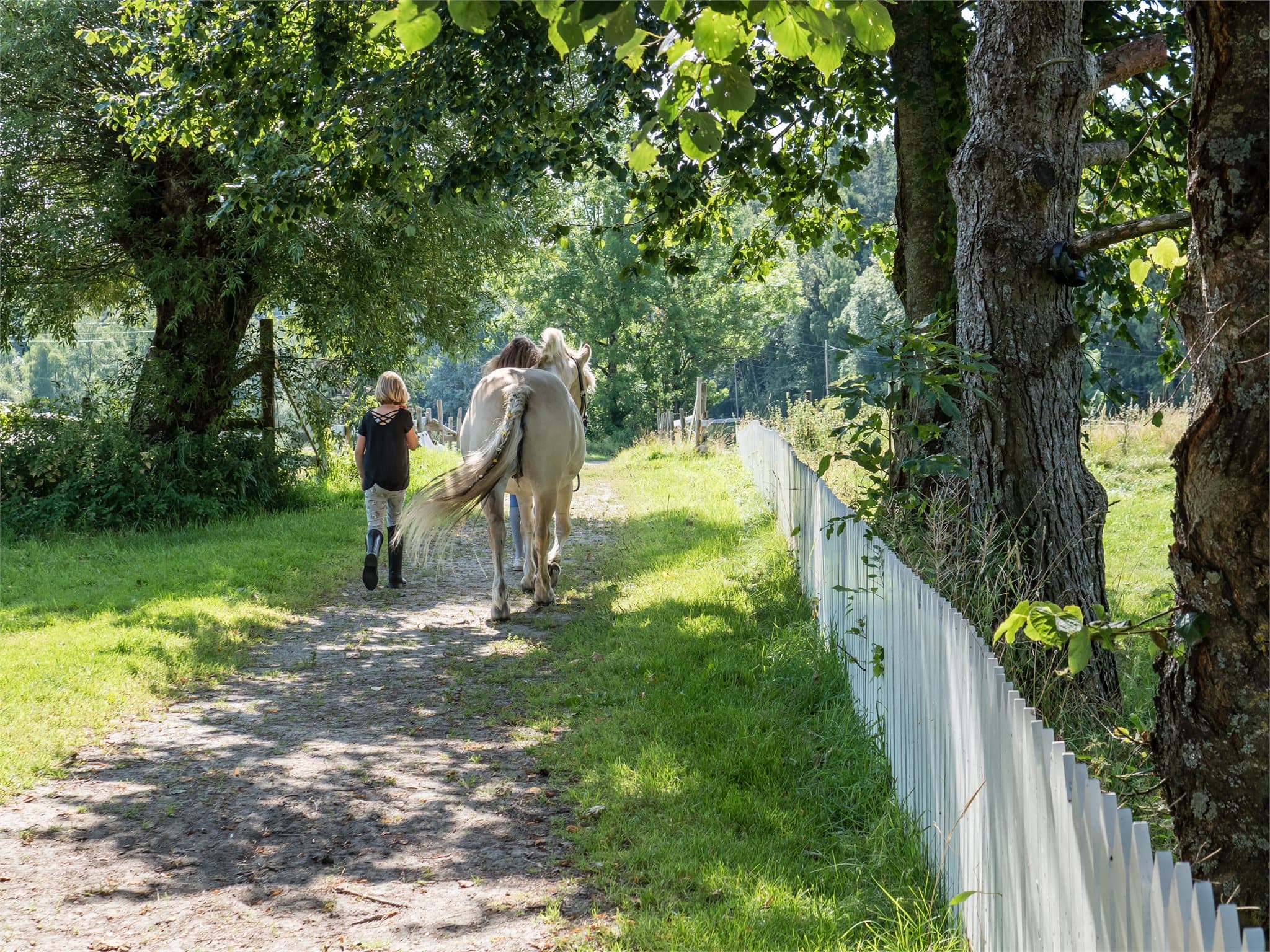 Området byr på nærhet til skog og mark, med flotte turmuligheter og landlige omgivelser.