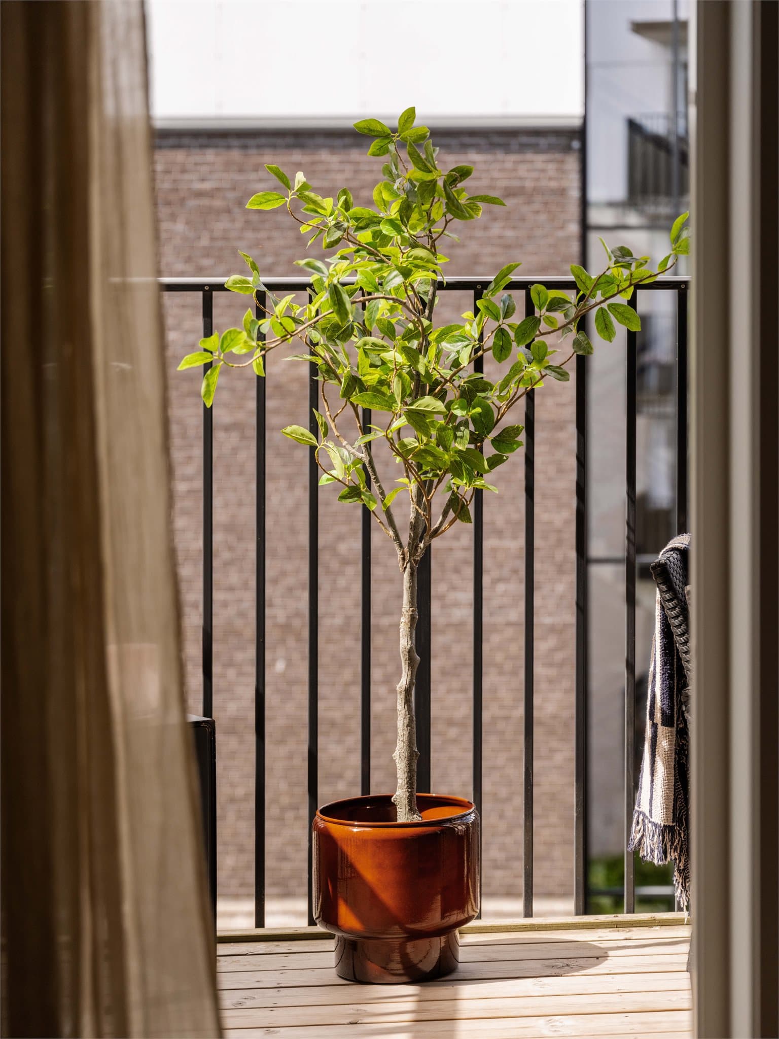 La oss ta turen ut på balkongen! Her vil både du og plantene dine trives svært godt.