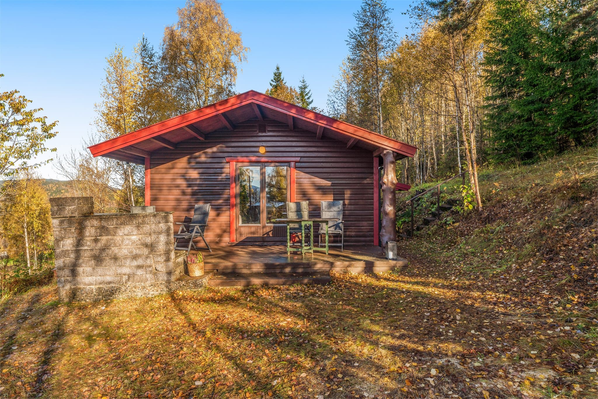 Plenareal og skogsterreng hvor både to- og firbente vil trives.