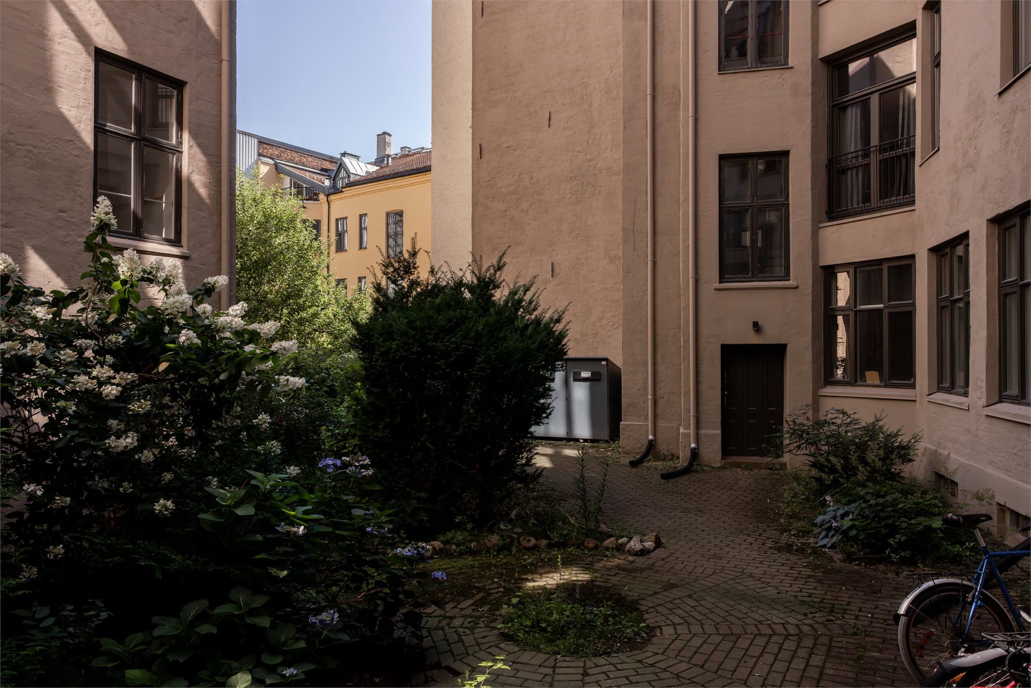 Bakgården byr på et lunt og trivelig uterom med prydbusker og variert beplantning.