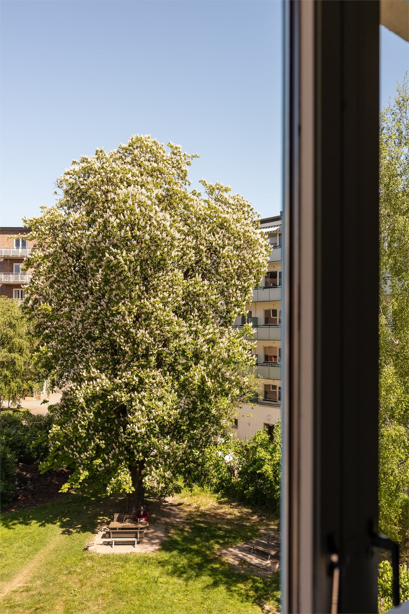 Leiligheten byr på et fredelig og frodig utsyn mot grønne omgivelser.