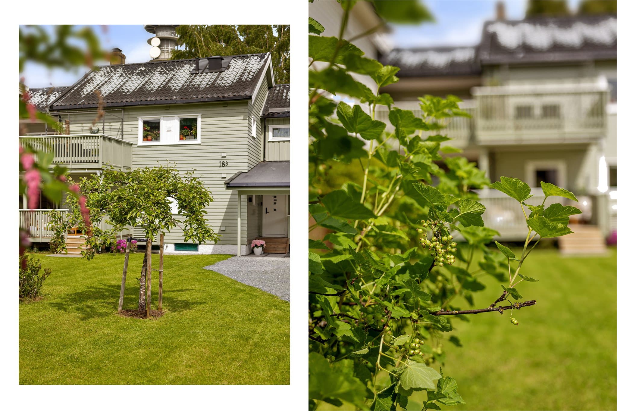Hagen er pent opparbeidet med flere flotte planter, blant annet epletre og bærbusker.