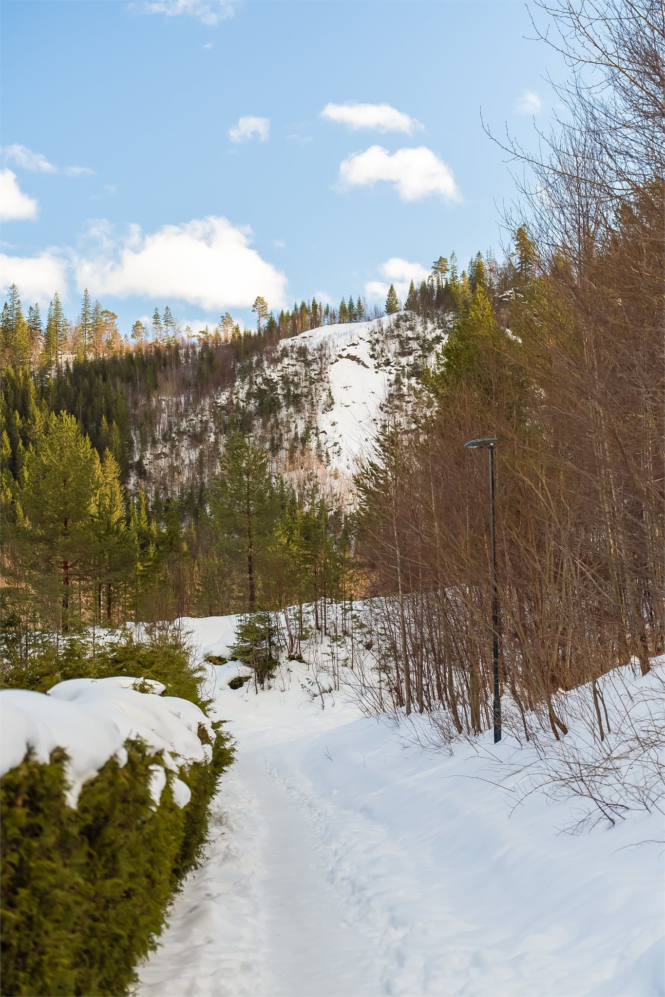 Fra boligen er det kort vei til flotte turmuligheter i skog og mark.