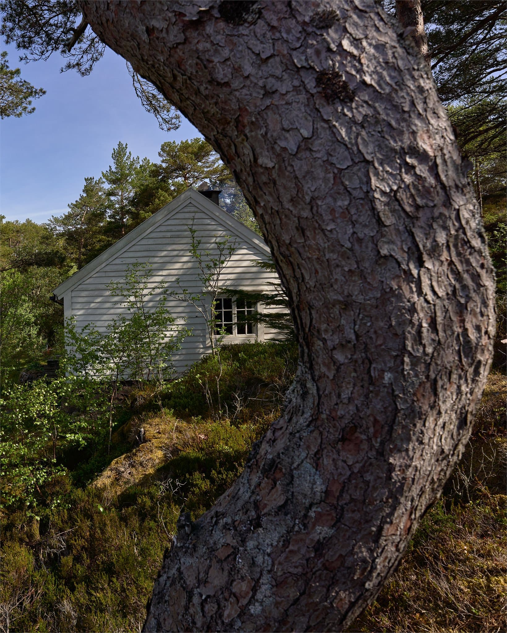 - Eiendommen befinner seg på et avsidesliggende og rolig sted, uten noen form for innsyn -