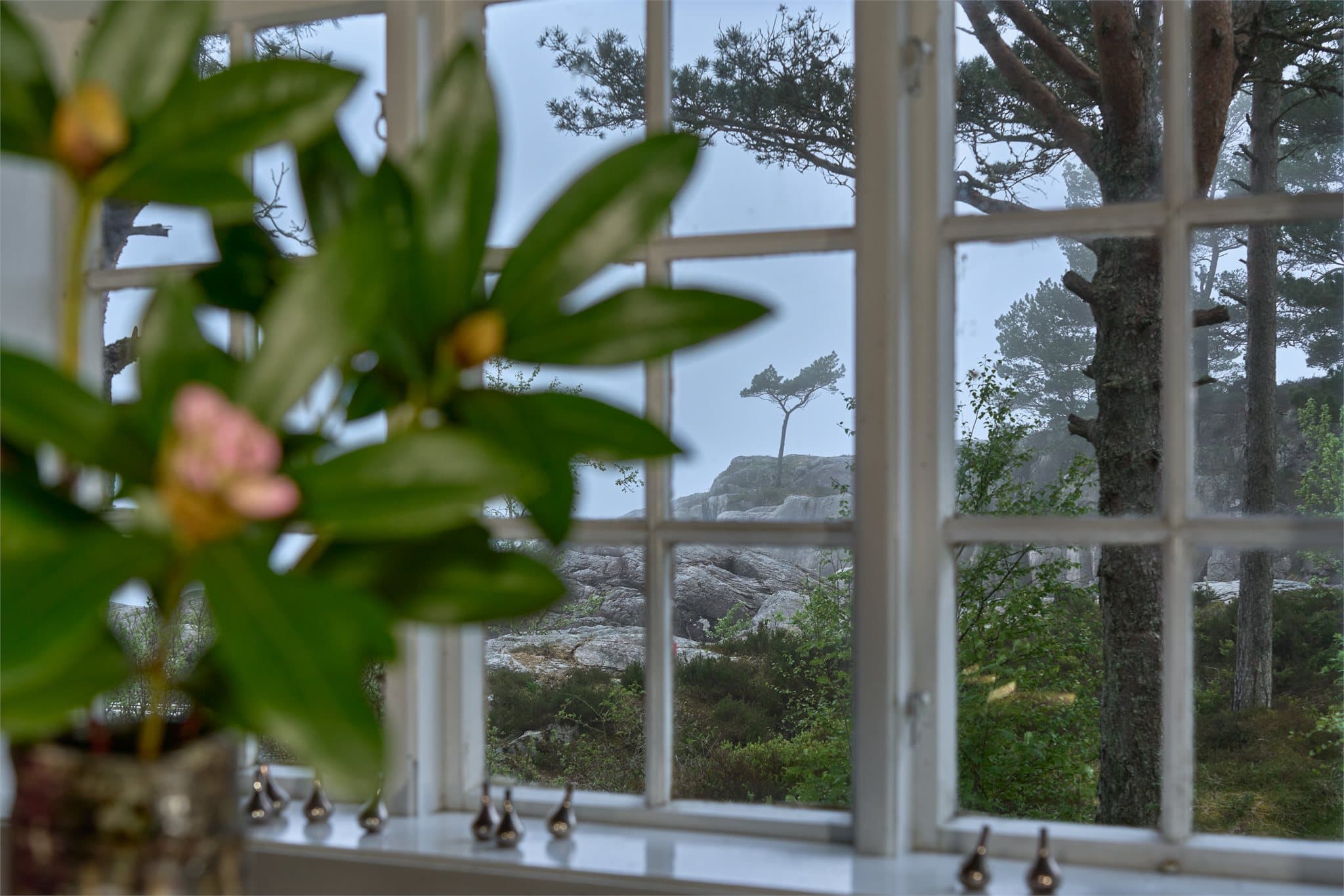 - Vakker utsikt mot natur i alle retninger -