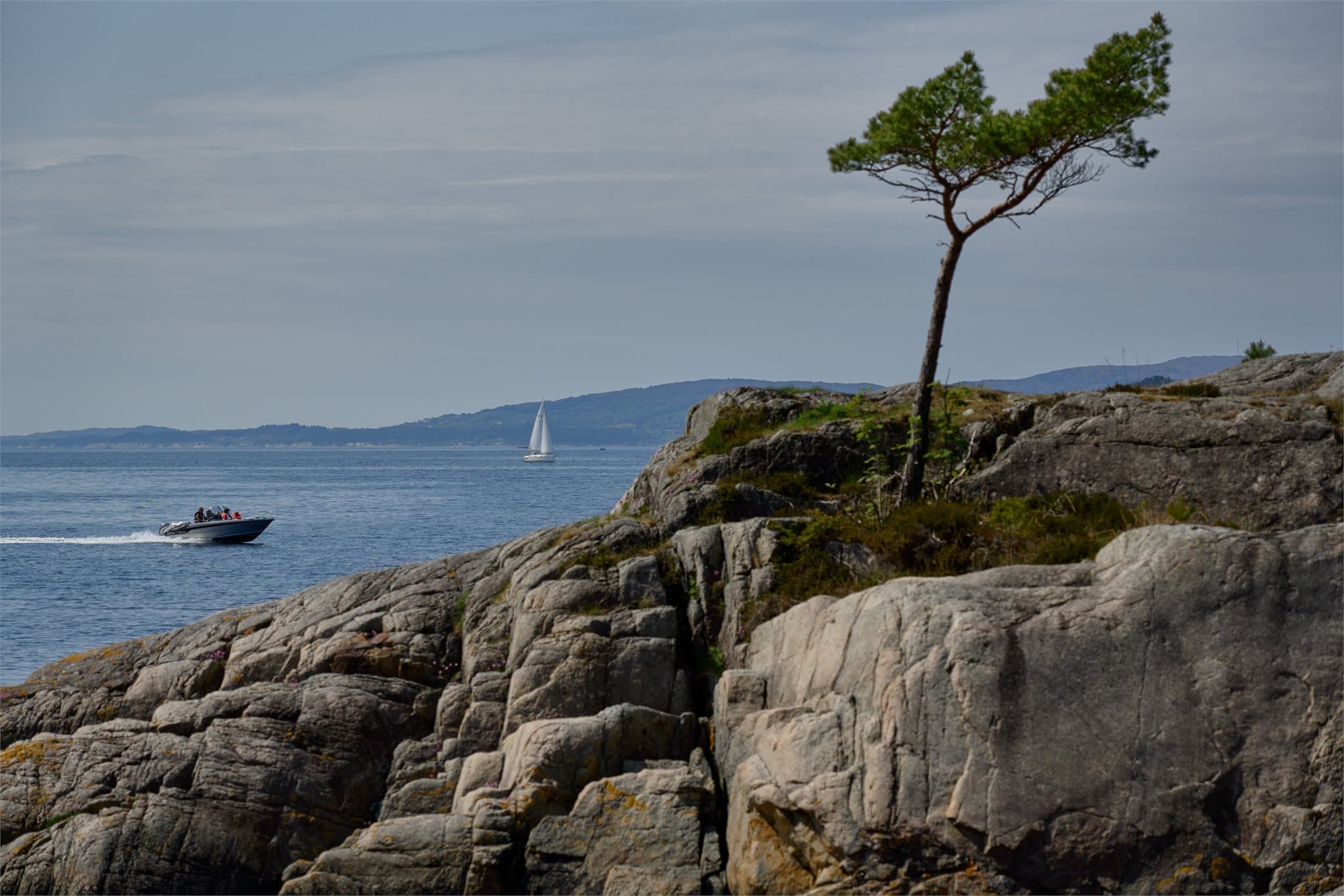 - Fullt av liv både over og under vannoverflaten. Krokeide Kai ligger kun en 5 minutters båttur unna eiendommen -