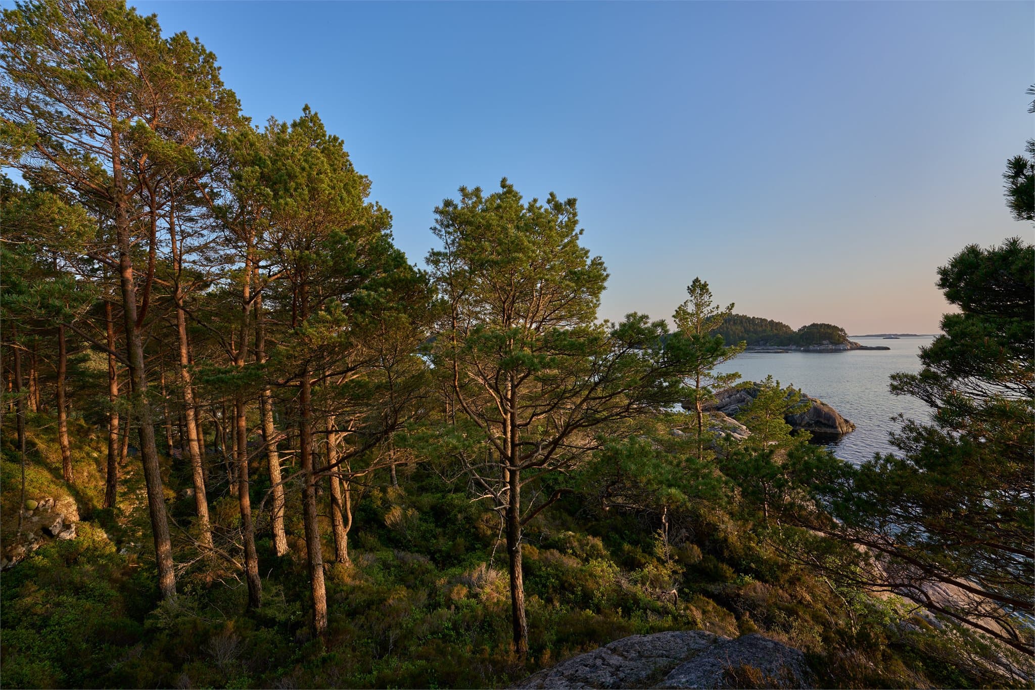 - Til tross for at dette er et avsidesliggende sted, er det bare en halvtimes kjøretur inn til Bergen sentrum og Flesland -