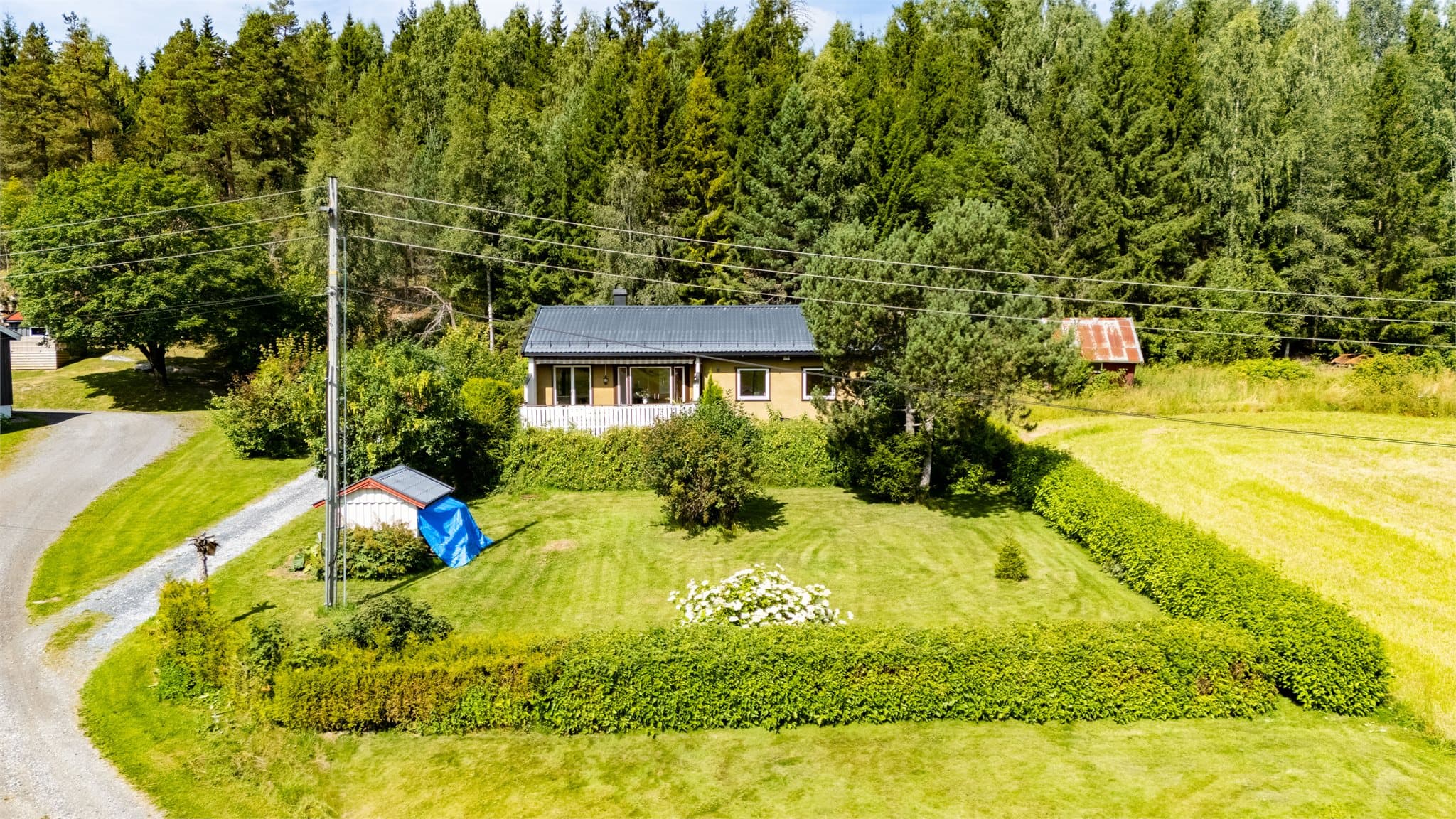 Romslig tomt med fin gressplen og beplantning!