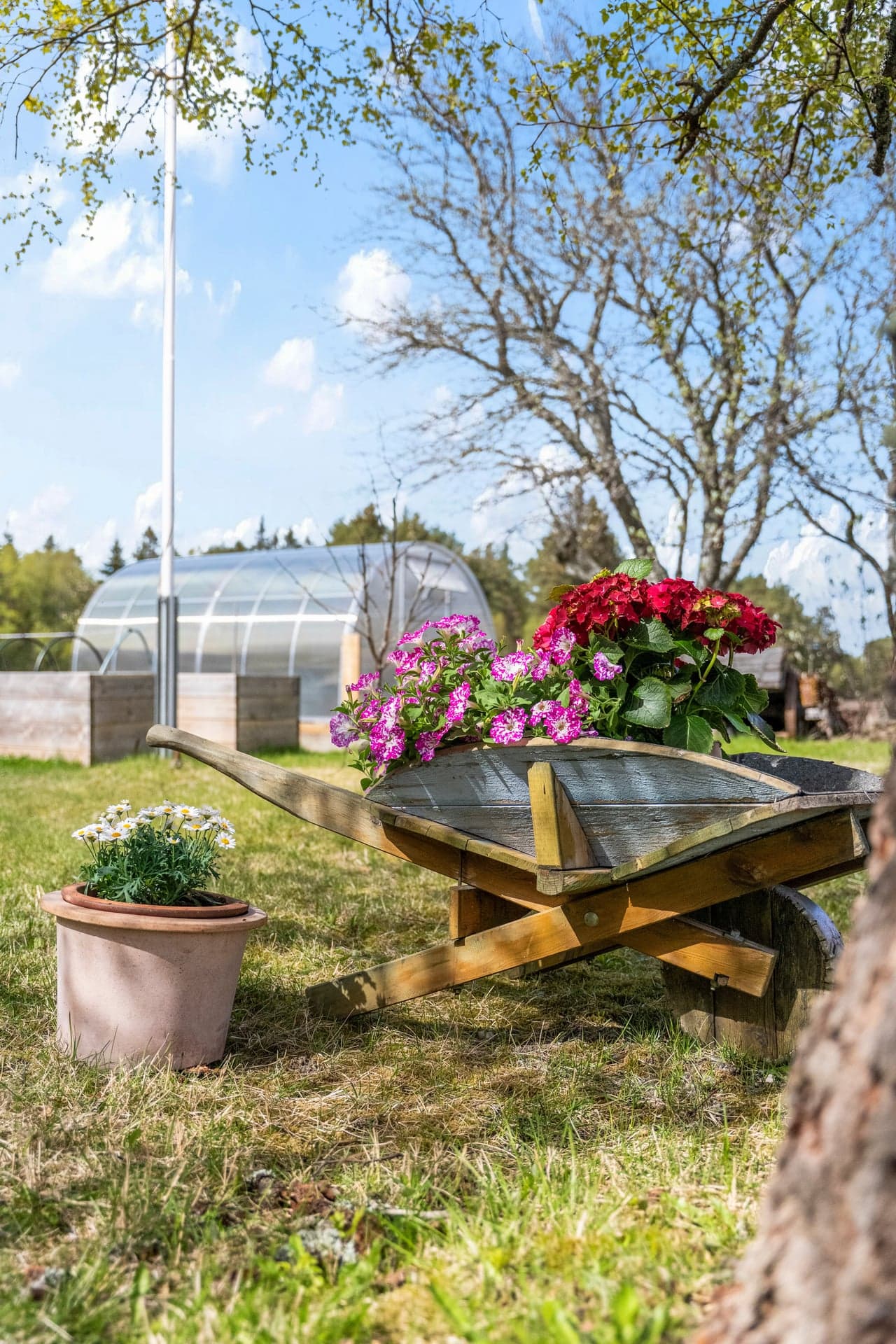 Eiendommen har de siste årene fått flere oppgraderinger ute, med nytt drivhus i fjor, to store grønnsakskasser og nye plattinger både foran huset og bak garasjen.