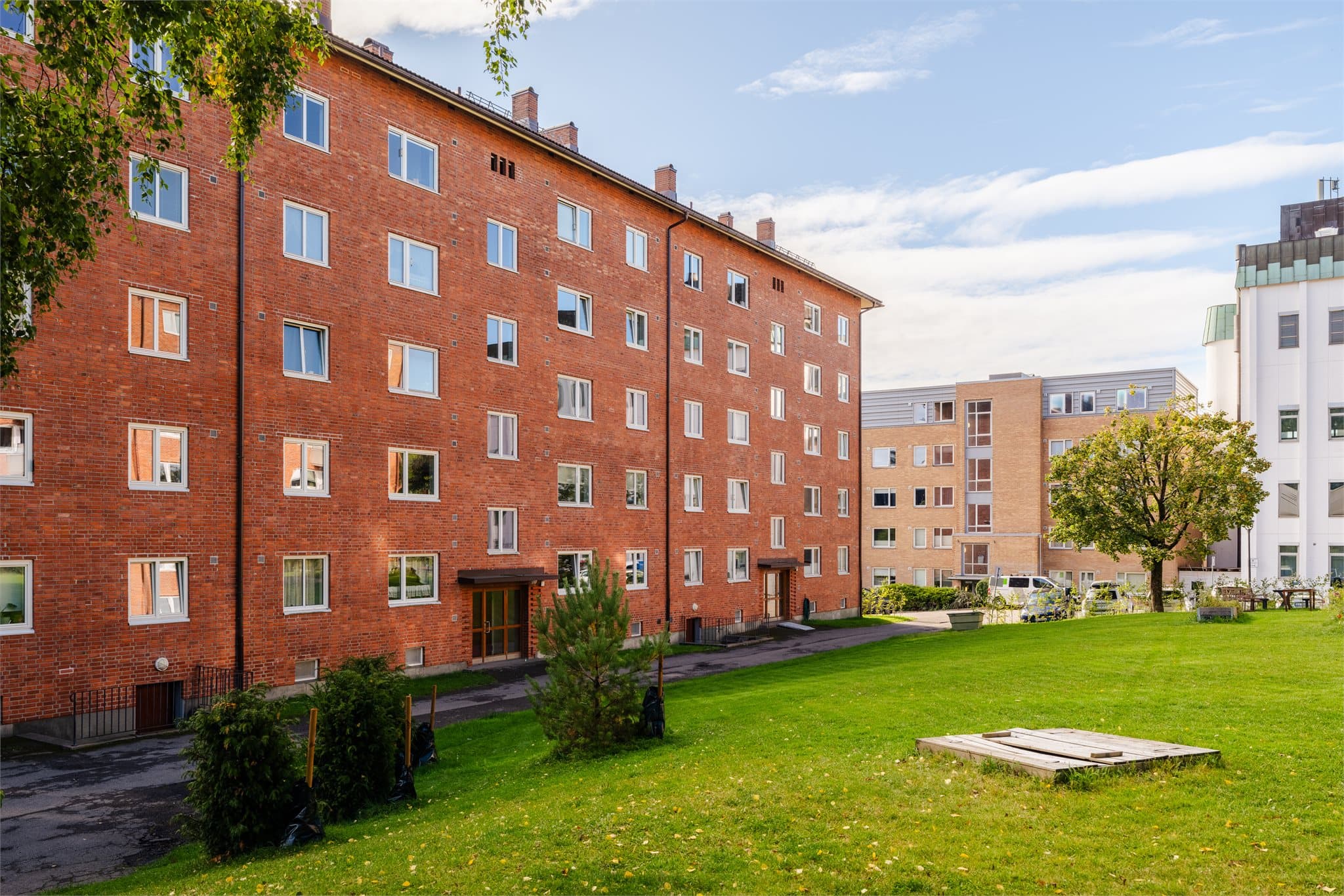 Flotte grøntområder og beplantning på borettslagets felles tomt.
