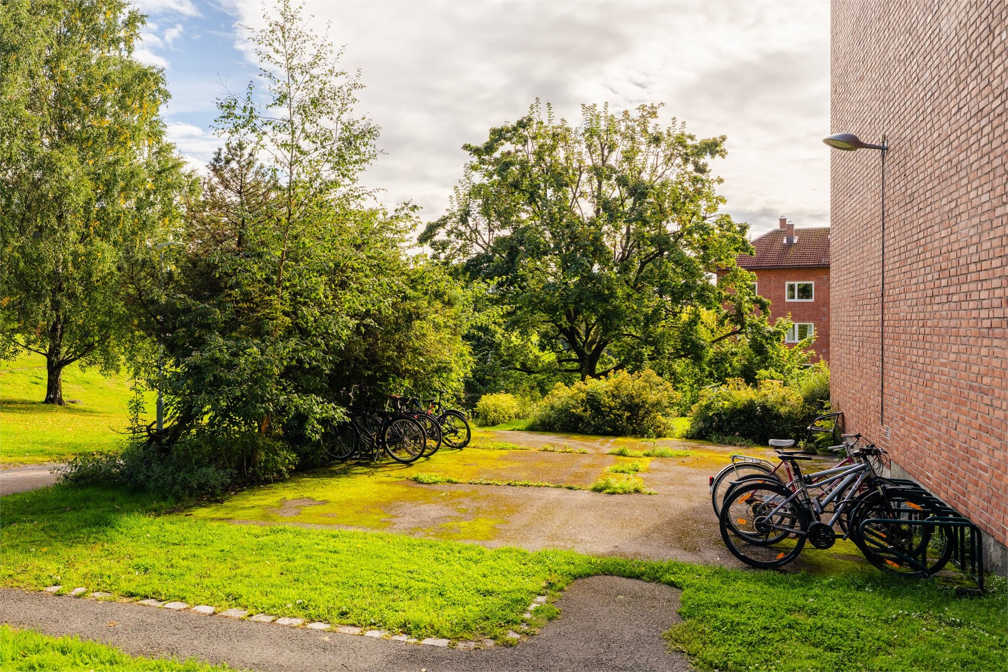Praktisk sykkelparkering og asfalterte internveier på eiendommen.