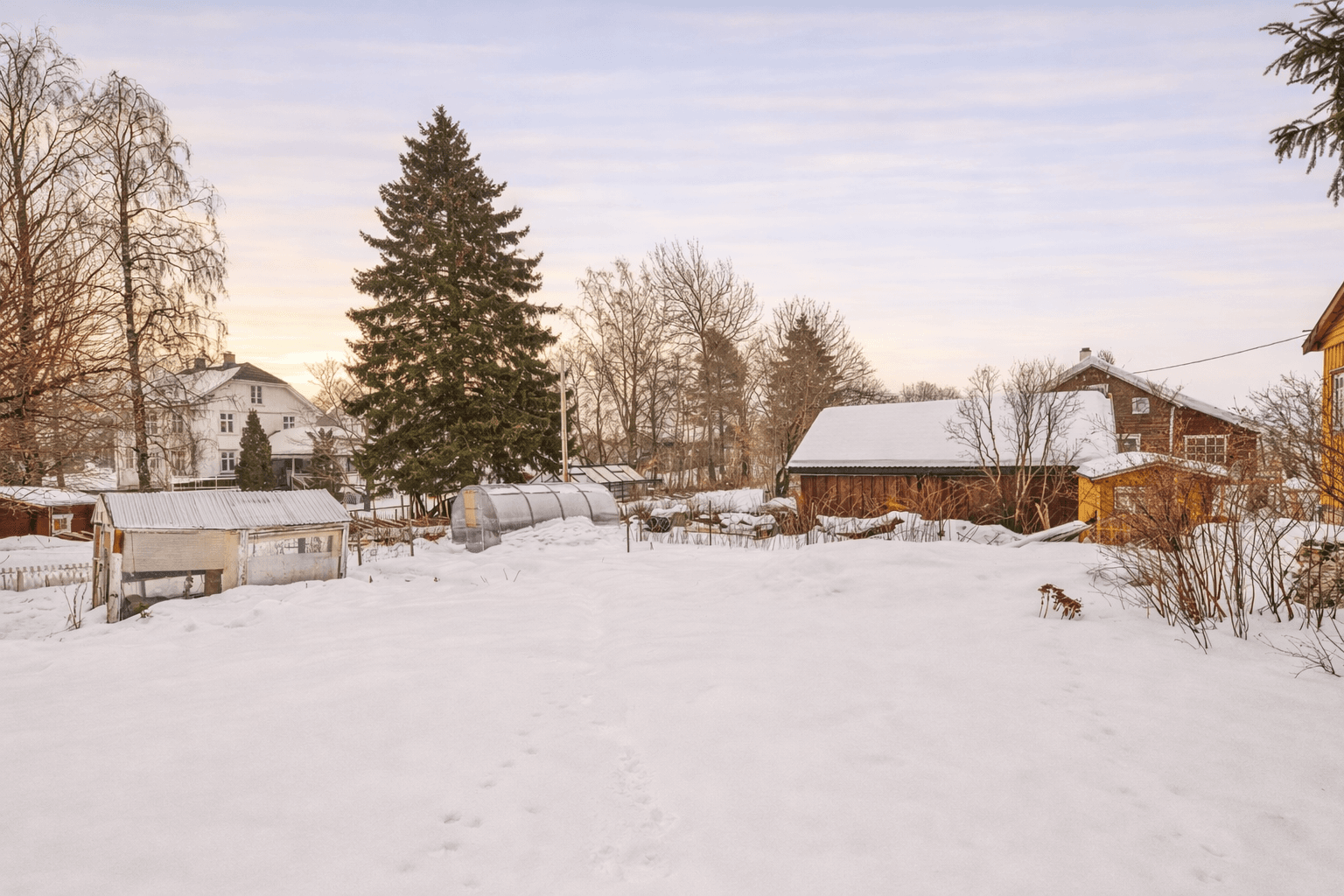Det er veksthus i hagen og flotte vekster og blomster som titter frem når våren kommer.