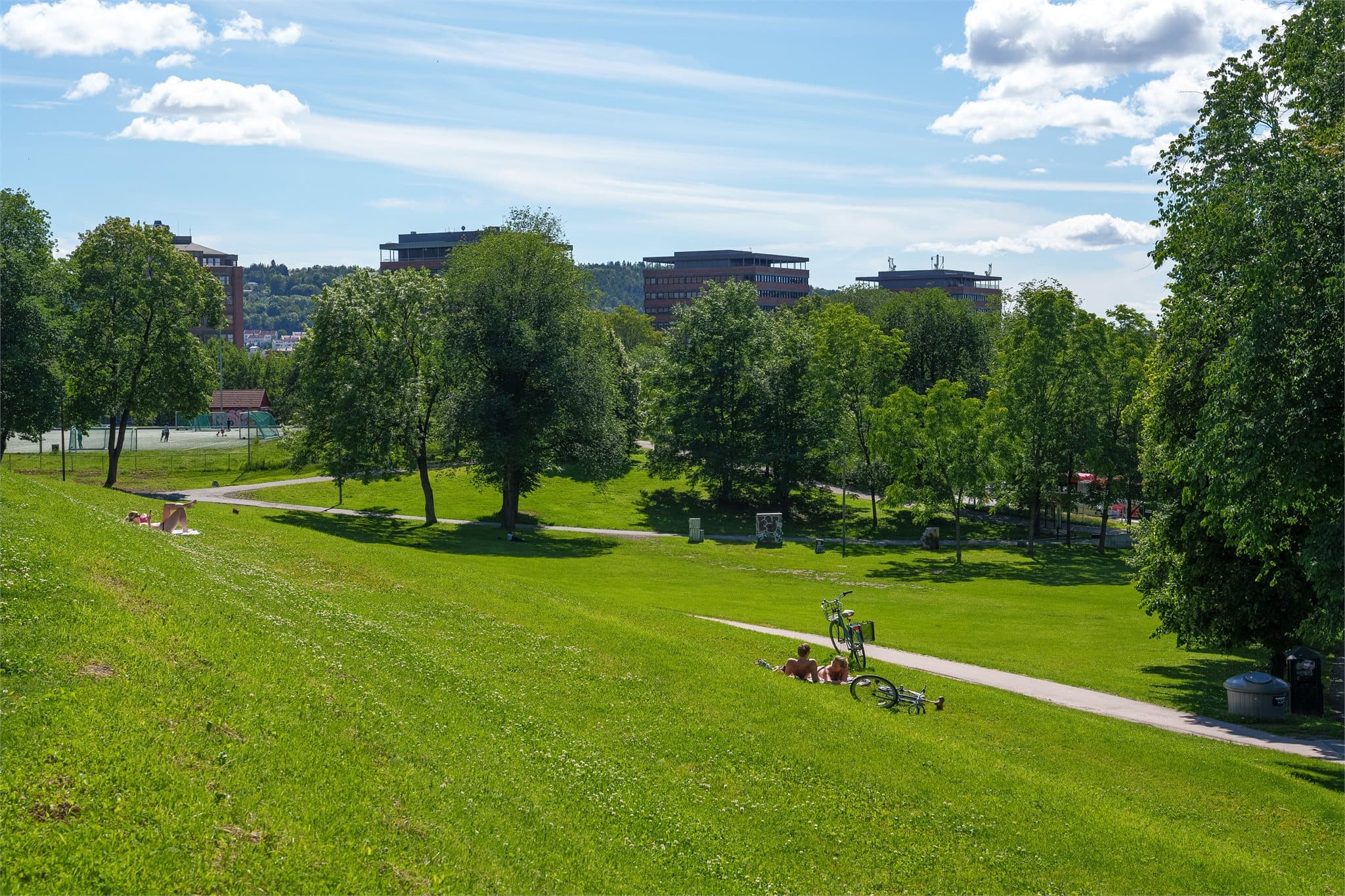 Tøyenparken byr på grønne og frodige omgivelser med fine turmuligheter og hyggelige møteplasser.
