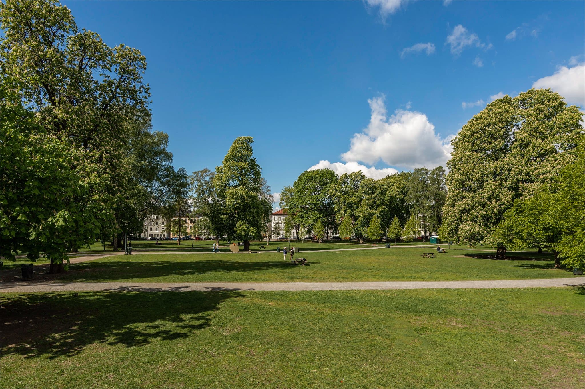 Sofienbergparken er et grønt og attraktivt rekreasjonsområde like i nærheten av leiligheten