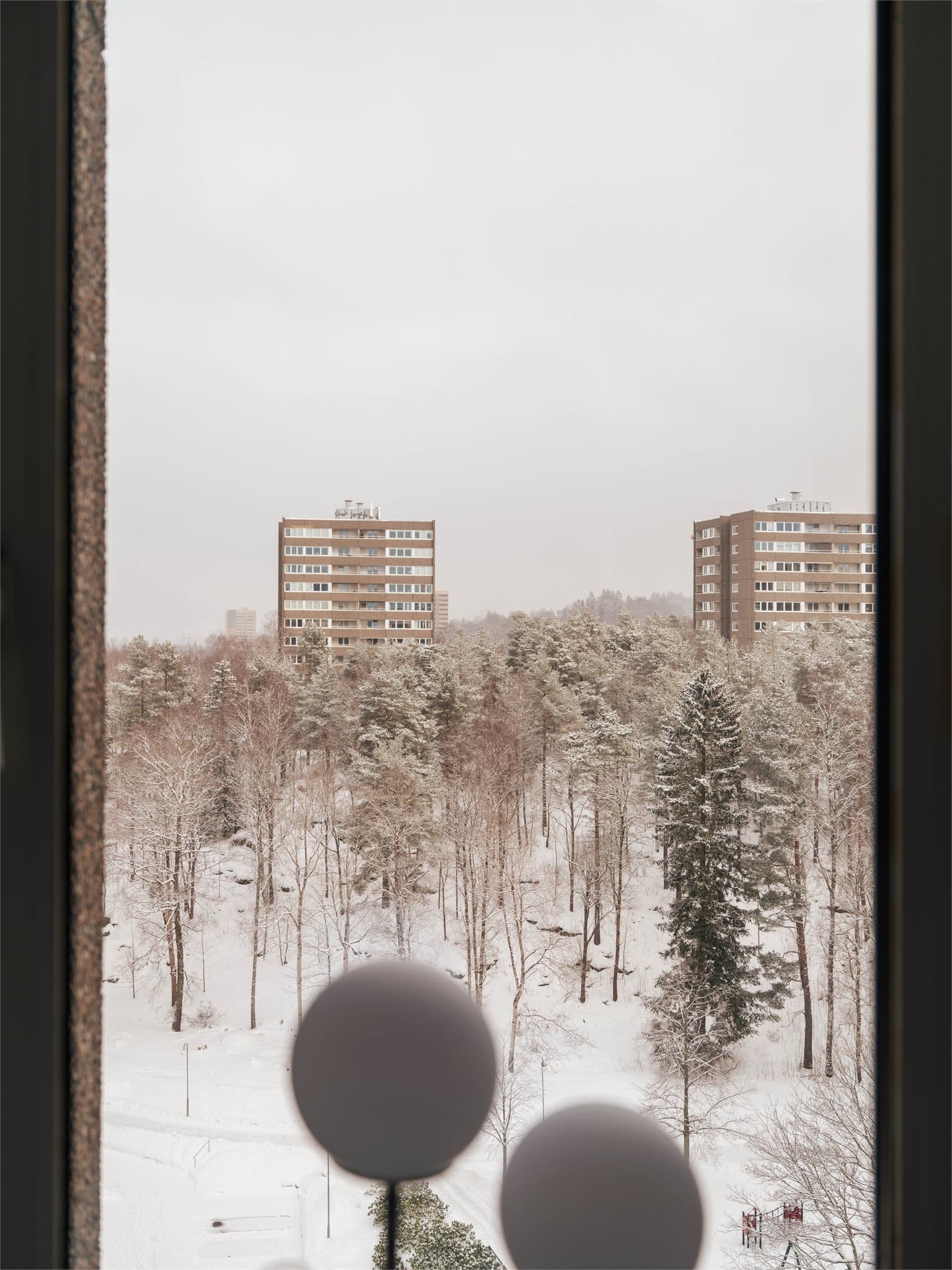 Utsikt fra entréen.