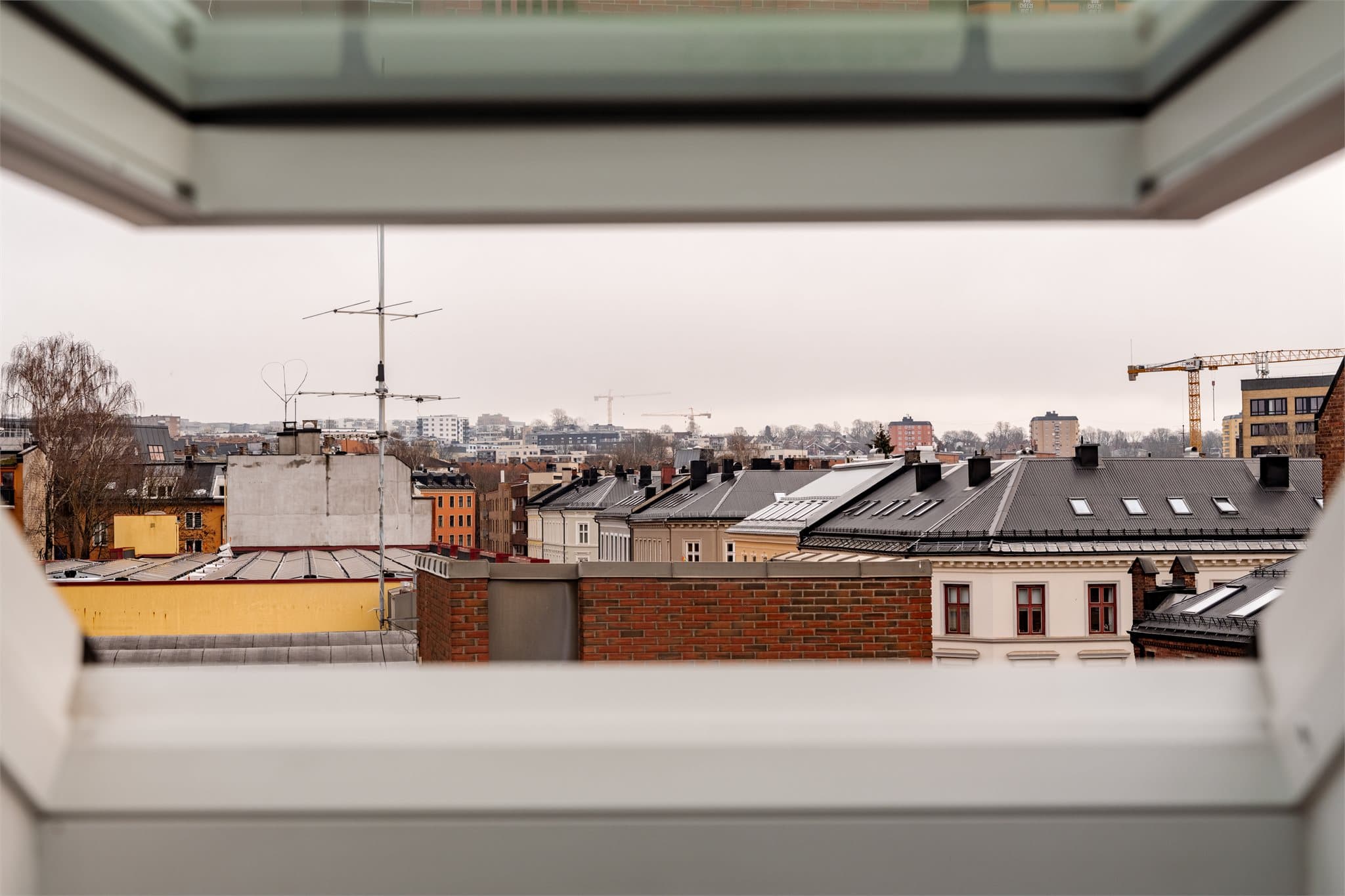 Utsikt fra takvindu!