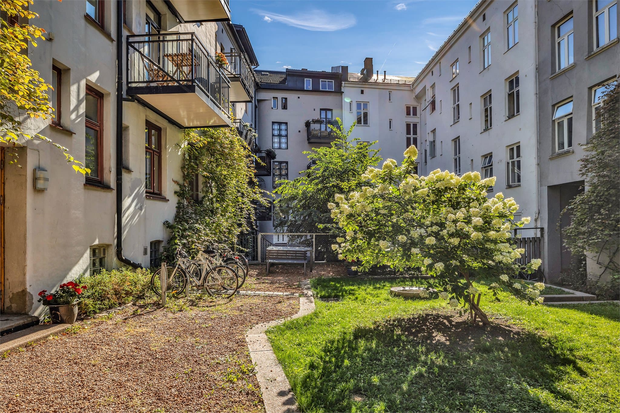 Felles bakgård med grønt gress, blomstrende busker og hyggelig atmosfære.