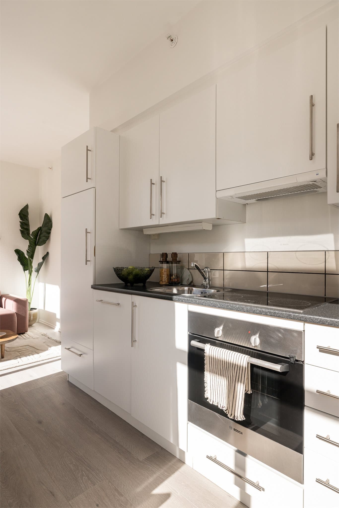 Det er stekeovn, oppvaskmaskin, ventilator og kjøleskap på kjøkkenet.