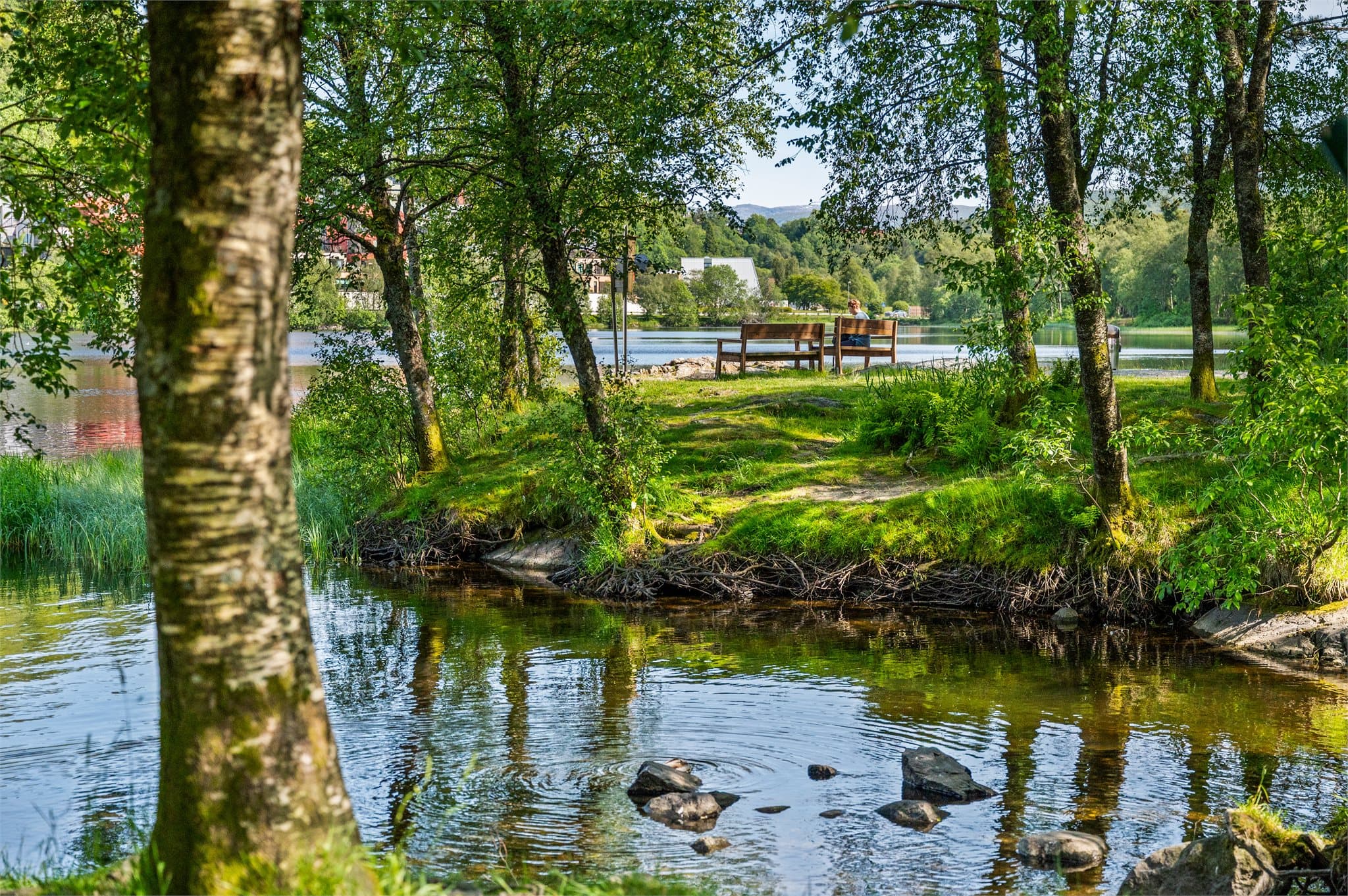 - Fra leiligheten er det kort veit til Liavatnet som er et yndig turmål, hvor man også finner en hundepark -