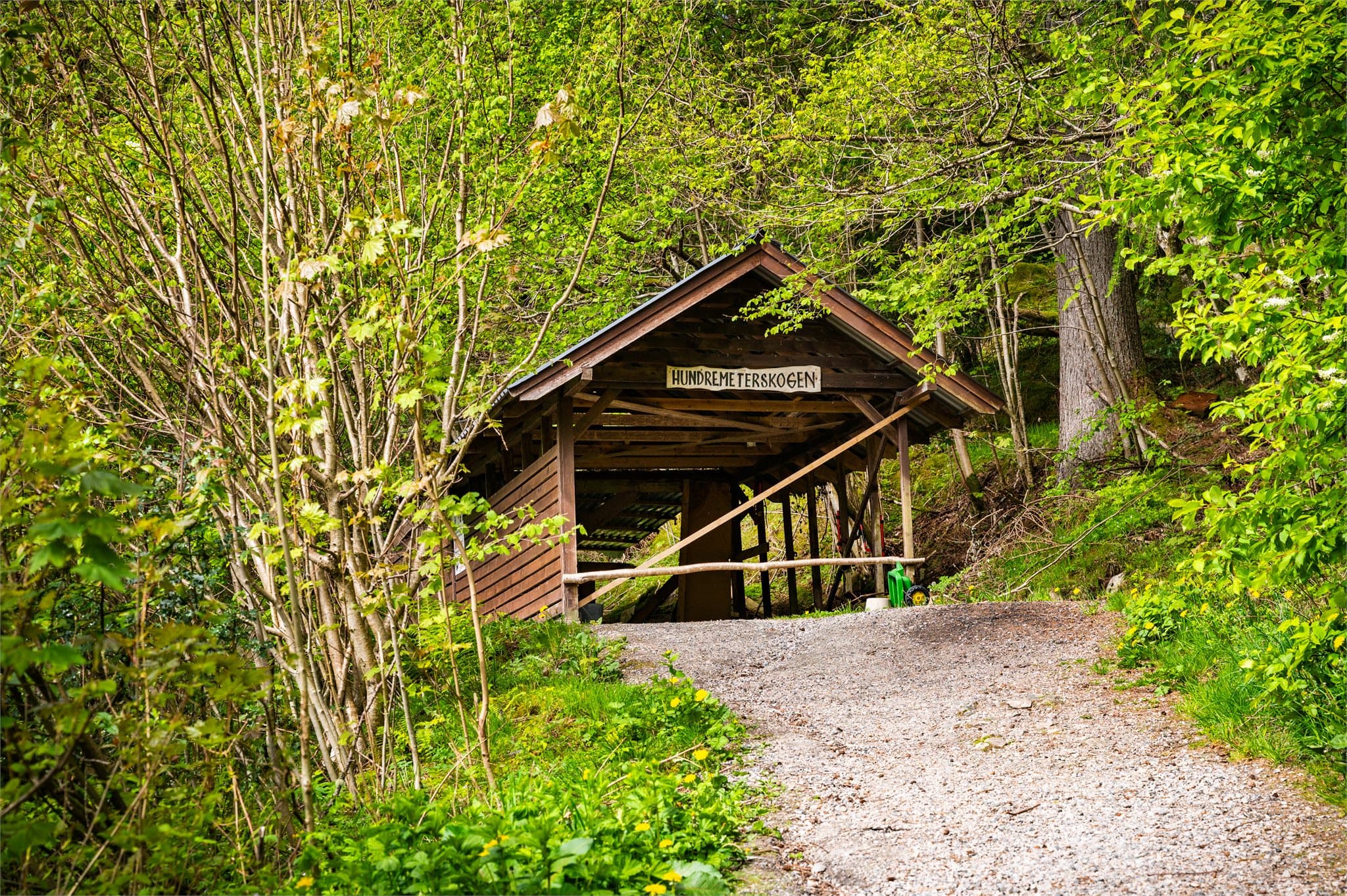 - Hundremeterskogen er også et fint turområde i området -