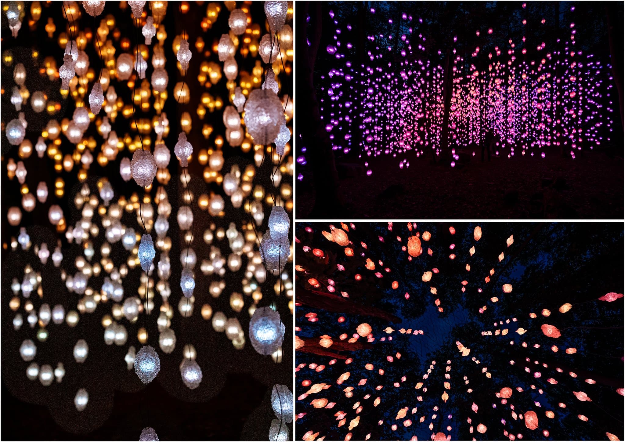 Ekebergparken. 6 minutter unna med trikken, eller 10 minutter til fots.