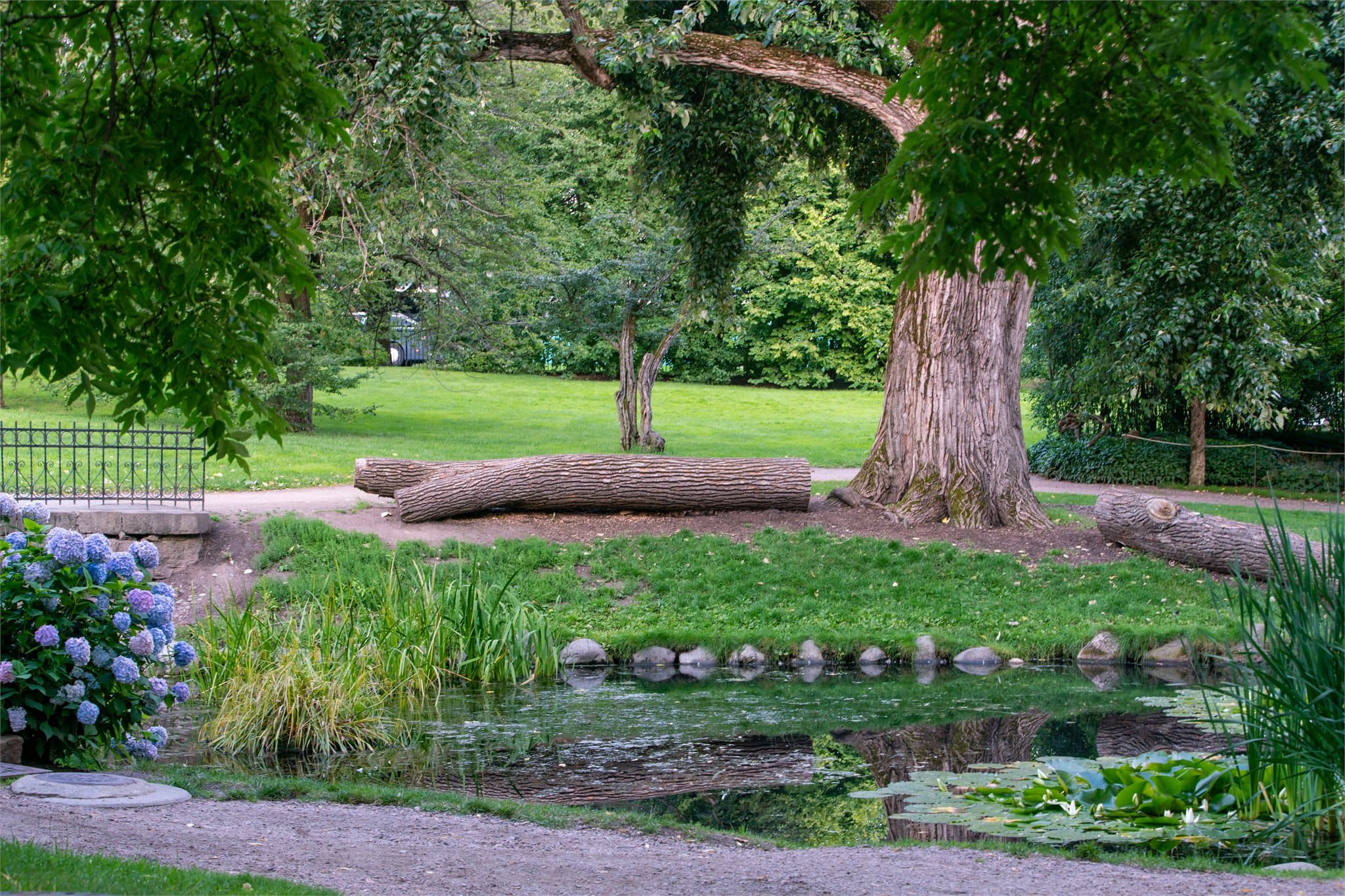 Botanisk hage