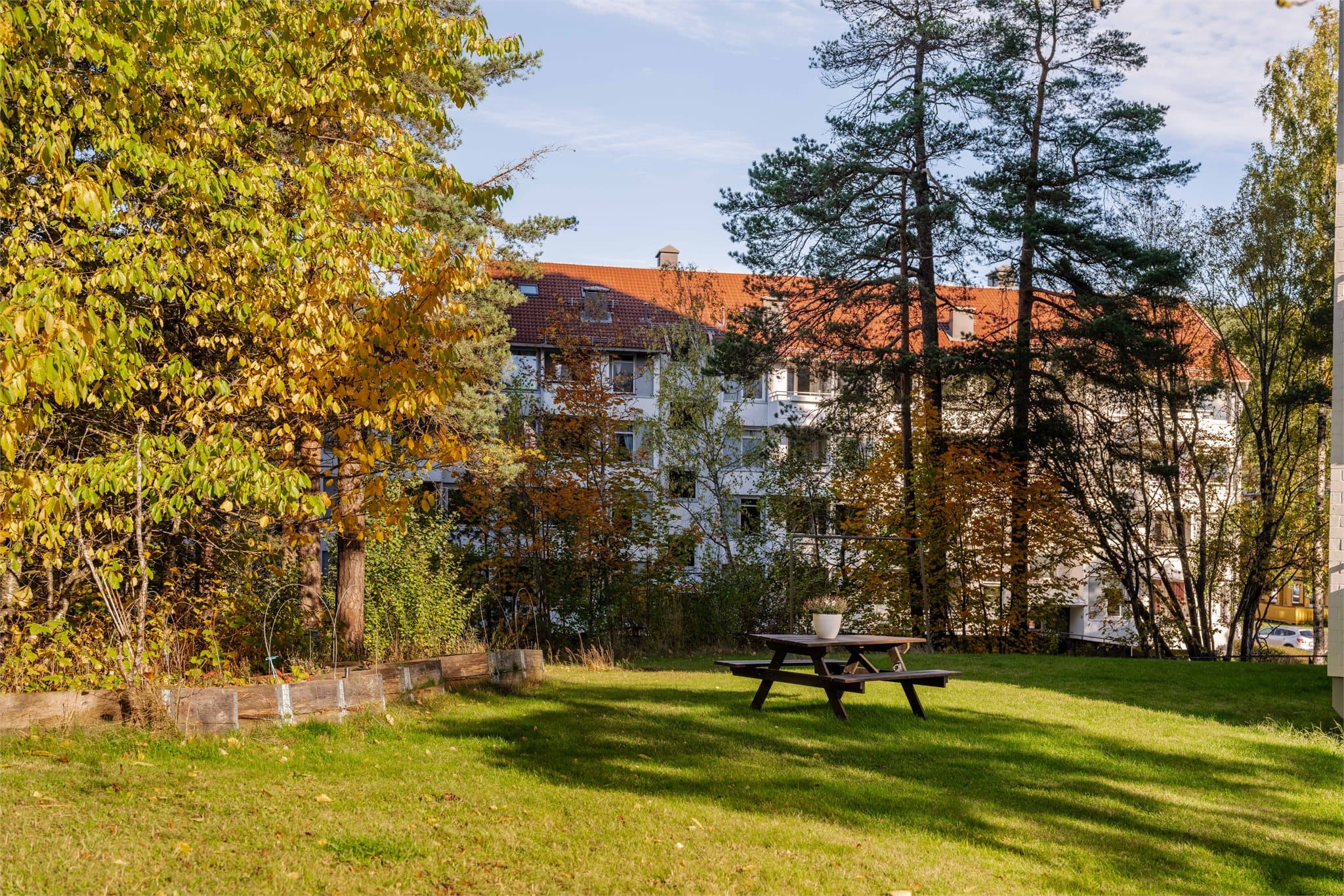 Felles grøntarealer med sitteplasser og umiddelbar nærhet til turstier i Lillomarka.