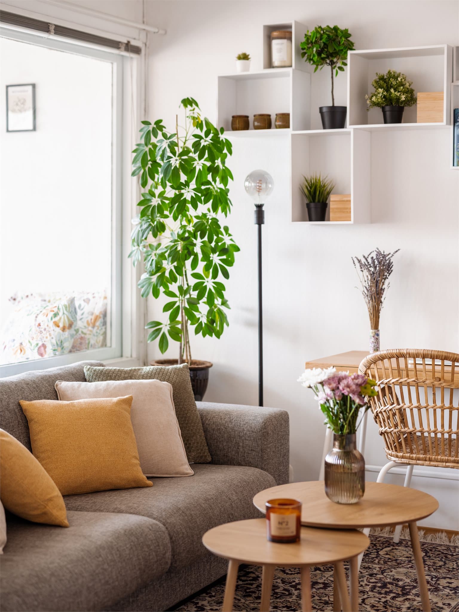 Felleskostnadene inkluderer grunnpakke TV og bredbånd (valg uten tilleggskost. 750Mbps u/ tv eller 100Mbps m/ tv + 60 poeng å bruke på valgfrie strømmetjenester), samt varmtvann (A-konto)