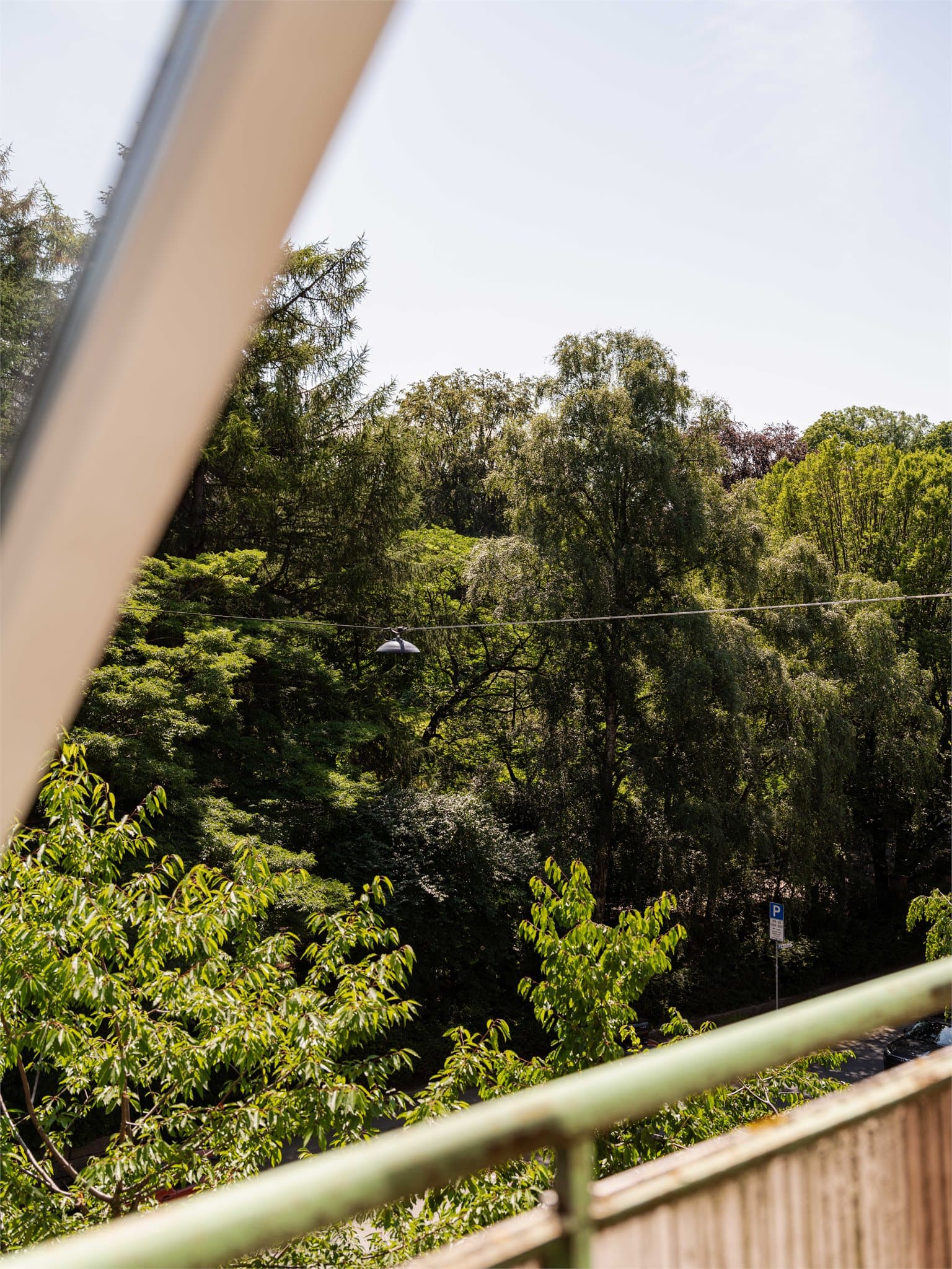 Botanisk hage ligger rett over veien og byr på vakre grøntområder, fargerike blomster og rolige omgivelser – et perfekt sted for en spasertur eller en avslappende pause i naturen.
