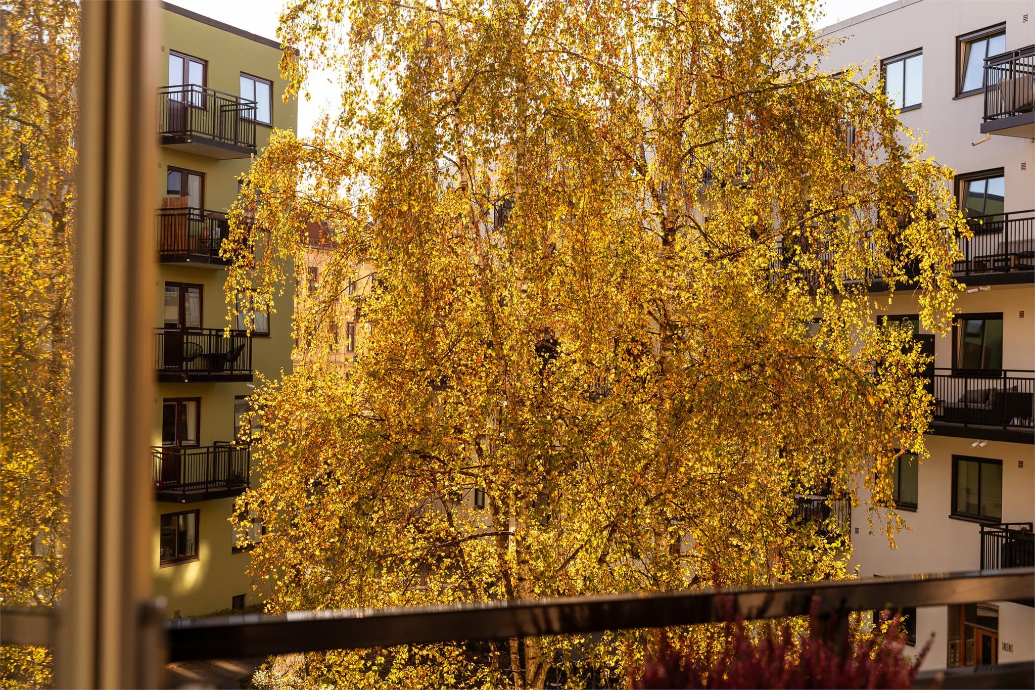 Her bor du i hyggelige omgivelser med kort vei til de beste handlegatene Grünerløkka har å by på.