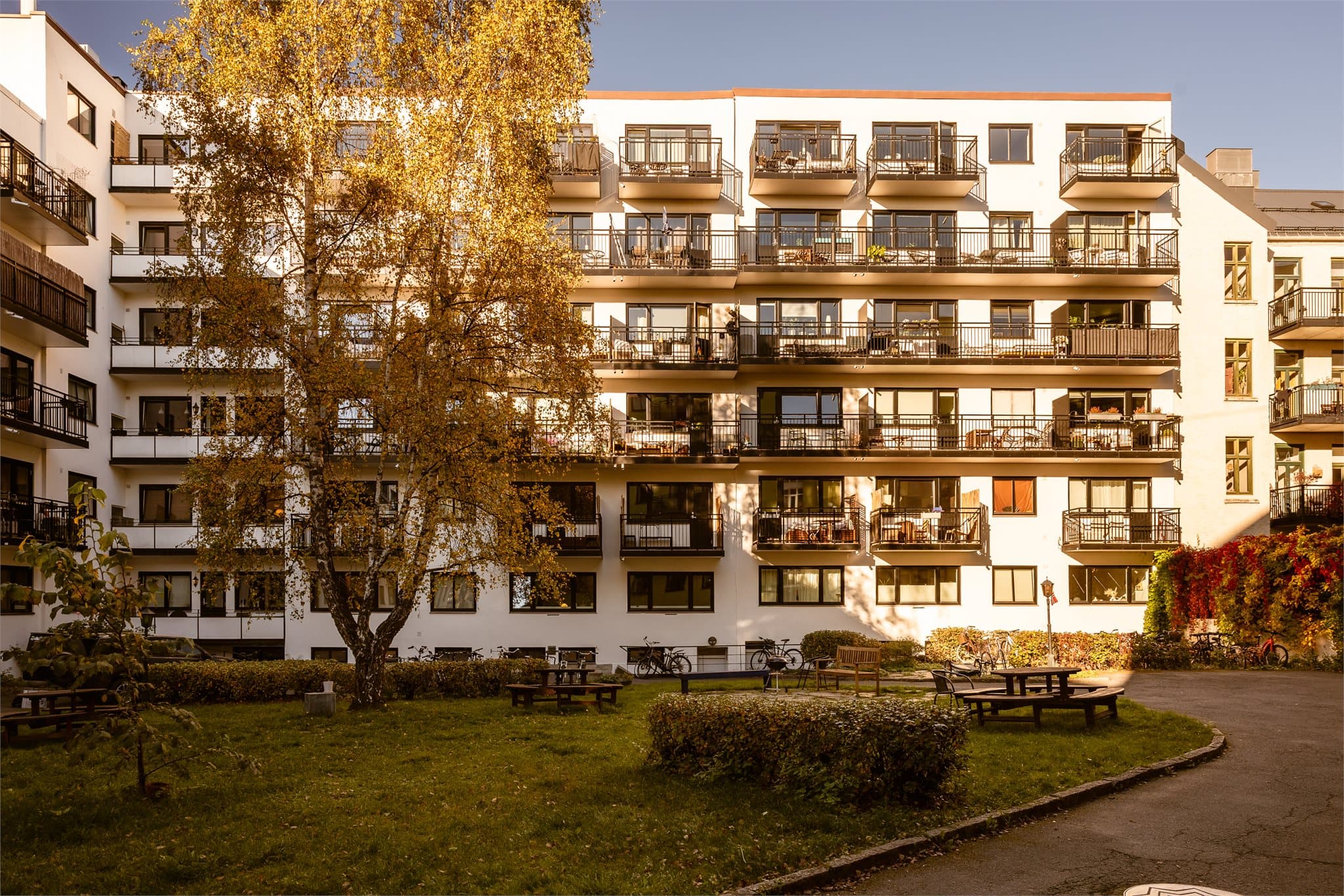 En fantastisk bakgård med benker, busker og trær for hyggelige sommerdager.