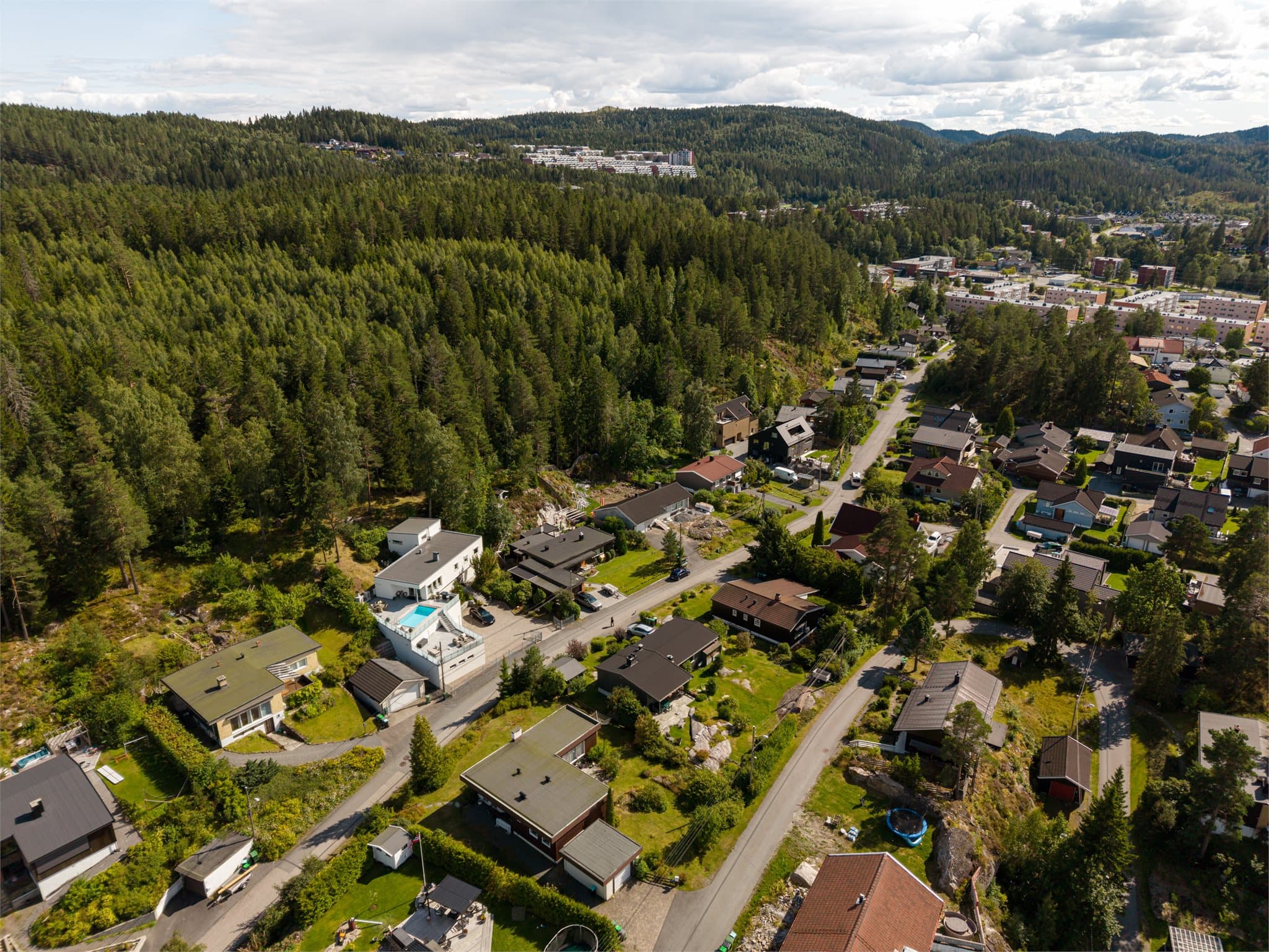 Rett bak eiendommen tar skogen over – herfra går stien videre mot Stormyra.