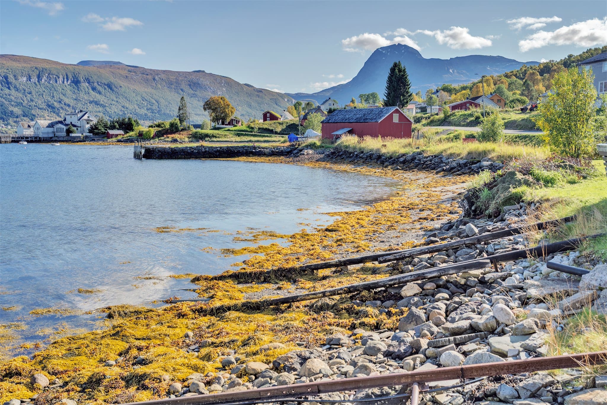 Fjæren langs fjorden med det karakteristiske fjellet Spanstinden i bakgrunnen.